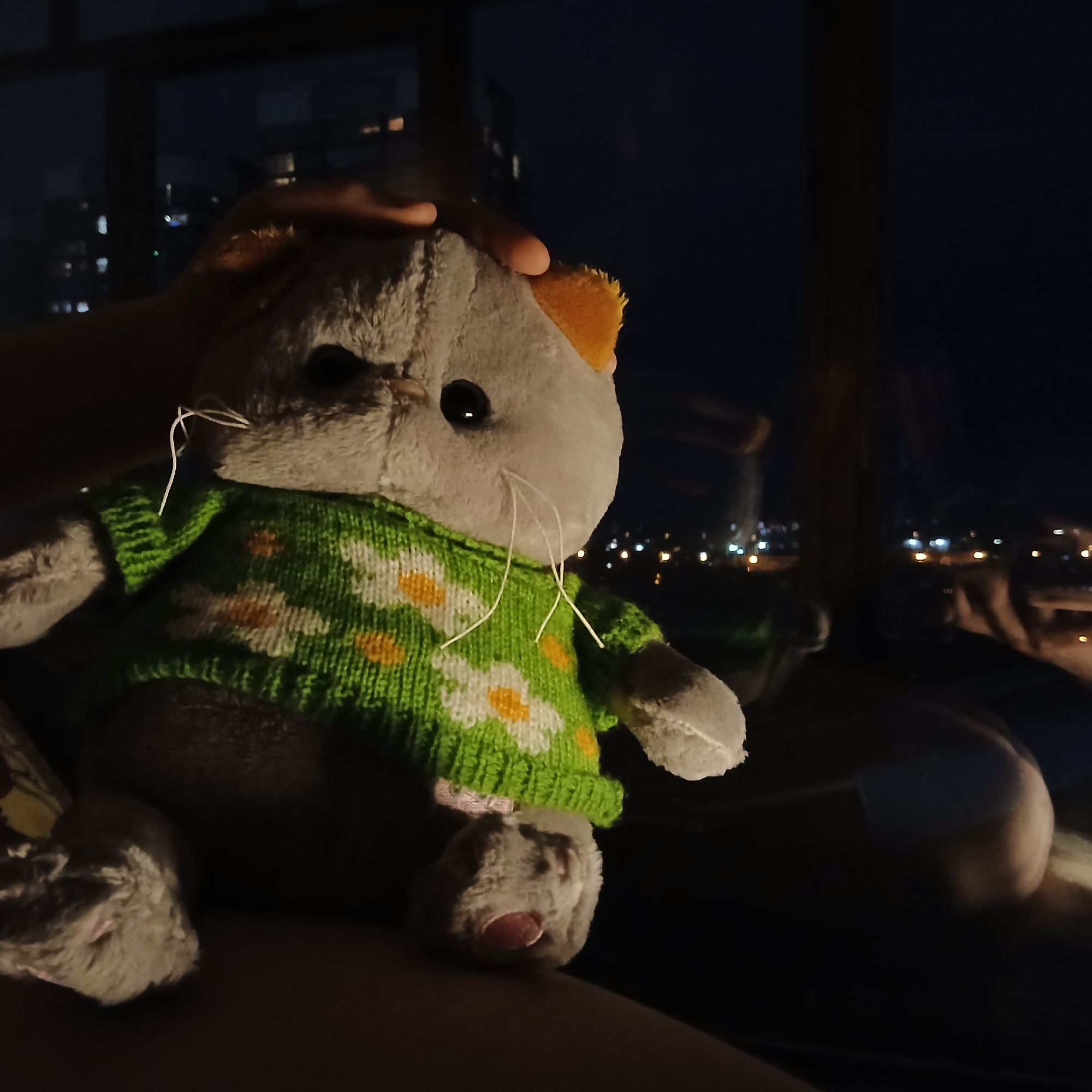 The image captures a plush cat toy sitting indoors, likely near a window, overlooking a city at night. The main subject is a grey plush cat, featuring black eyes, white whiskers, and small orange ears. It is dressed in a vibrant green knitted sweater adorned with white and yellow daisy-like patterns. A person's hand gently rests on the top of the plush cat's head, indicating a comforting touch or interaction.
The scene is set at night, with the background displaying a blurred view of a city, identified as Yekaterinburg, Russia, through a window. Distant streetlights and building lights create a soft, bokeh effect against the dark sky, characteristic of a night cityscape. The overall atmosphere appears tranquil and peaceful. No text is visible in the image.