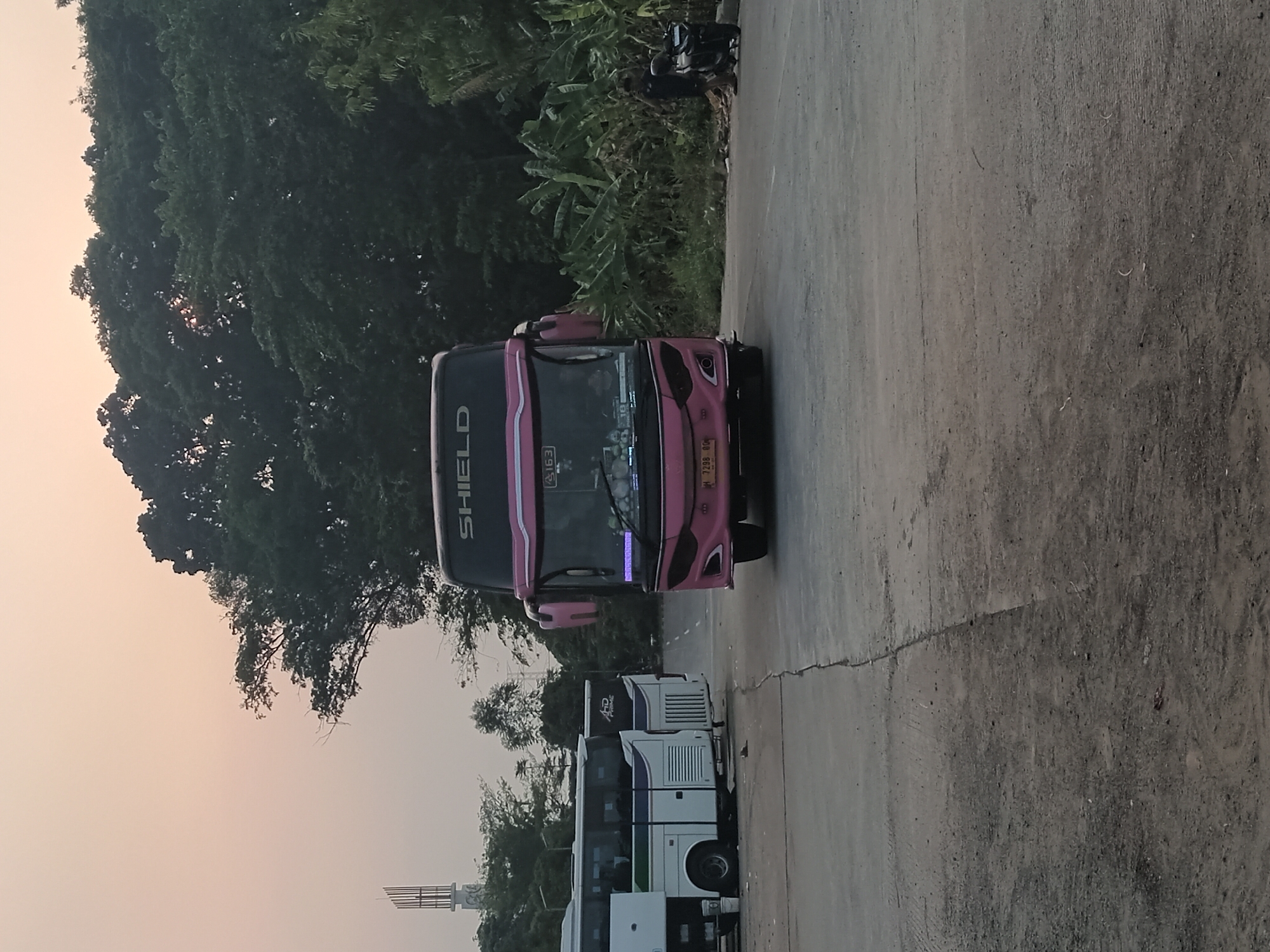 A pink and black intercity bus with the brand name "SHIELD" on its front is parked on a paved surface, likely a bus terminal or parking lot, in Depok, Indonesia. The bus has its headlights on and appears to be ready for departure or has just arrived. To the left of the bus, another white and blue bus is partially visible. In the background, dense green trees and vegetation line the area, with a clear sky overhead, possibly at dawn or dusk, indicated by the soft, diffused light. There are also a few individuals and a motorcycle visible on the right side of the frame, suggesting activity at the location. The overall scene depicts a transportation hub in a semi-urban or suburban environment.
