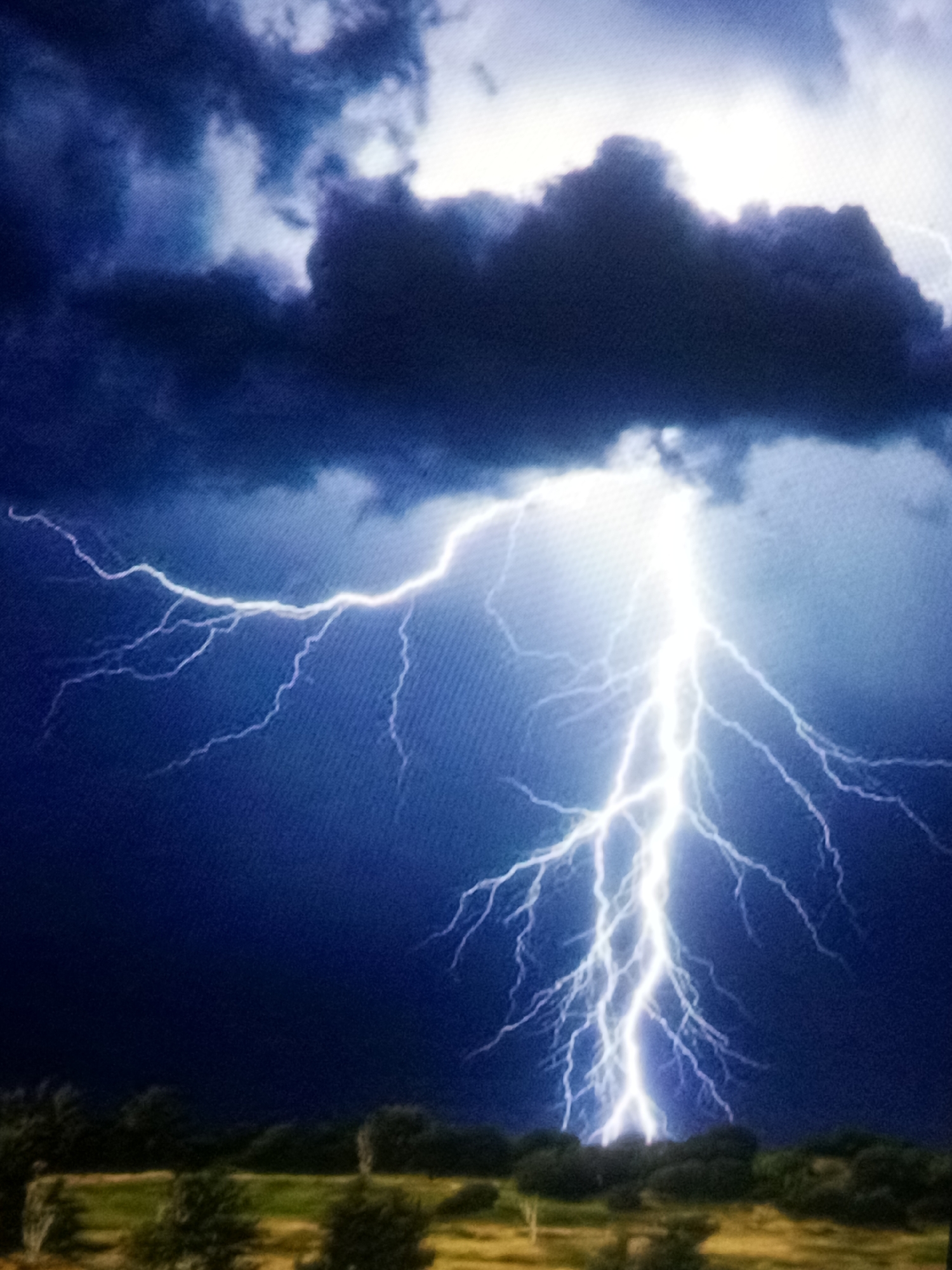 A lightning strike illuminates a dark, cloudy sky above a wooded area. The lightning bolt branches out, creating a bright, jagged pattern against the deep blue and black hues of the storm clouds. The lower portion of the image shows a landscape with dark green trees and a brownish-yellow field, suggesting a natural environment. There are no people or man-made structures clearly visible in the scene.