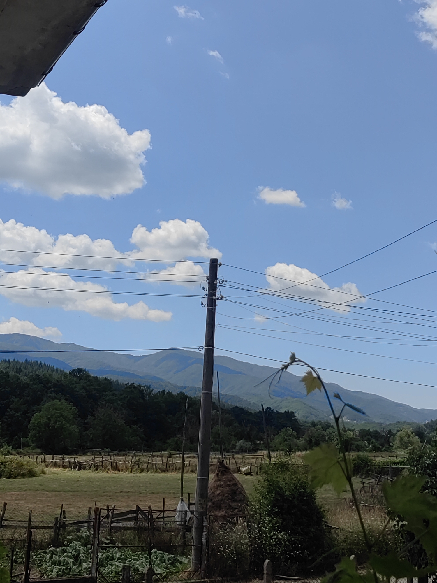 The image depicts a rural landscape under a bright blue sky with scattered white clouds. In the foreground, a vine with small green leaves is visible on the right side. Several utility wires crisscross the frame, supported by a wooden utility pole situated slightly off-center. The pole has insulators attached. Behind the wires, a field with dry grass and a rustic wooden fence can be seen. Further in the background, a dense forest covers rolling hills that lead to a mountain range in the distance. A haystack is also visible near the utility pole. The overall scene suggests a tranquil, natural environment. This image appears to be taken in Djerovo, Bulgaria.