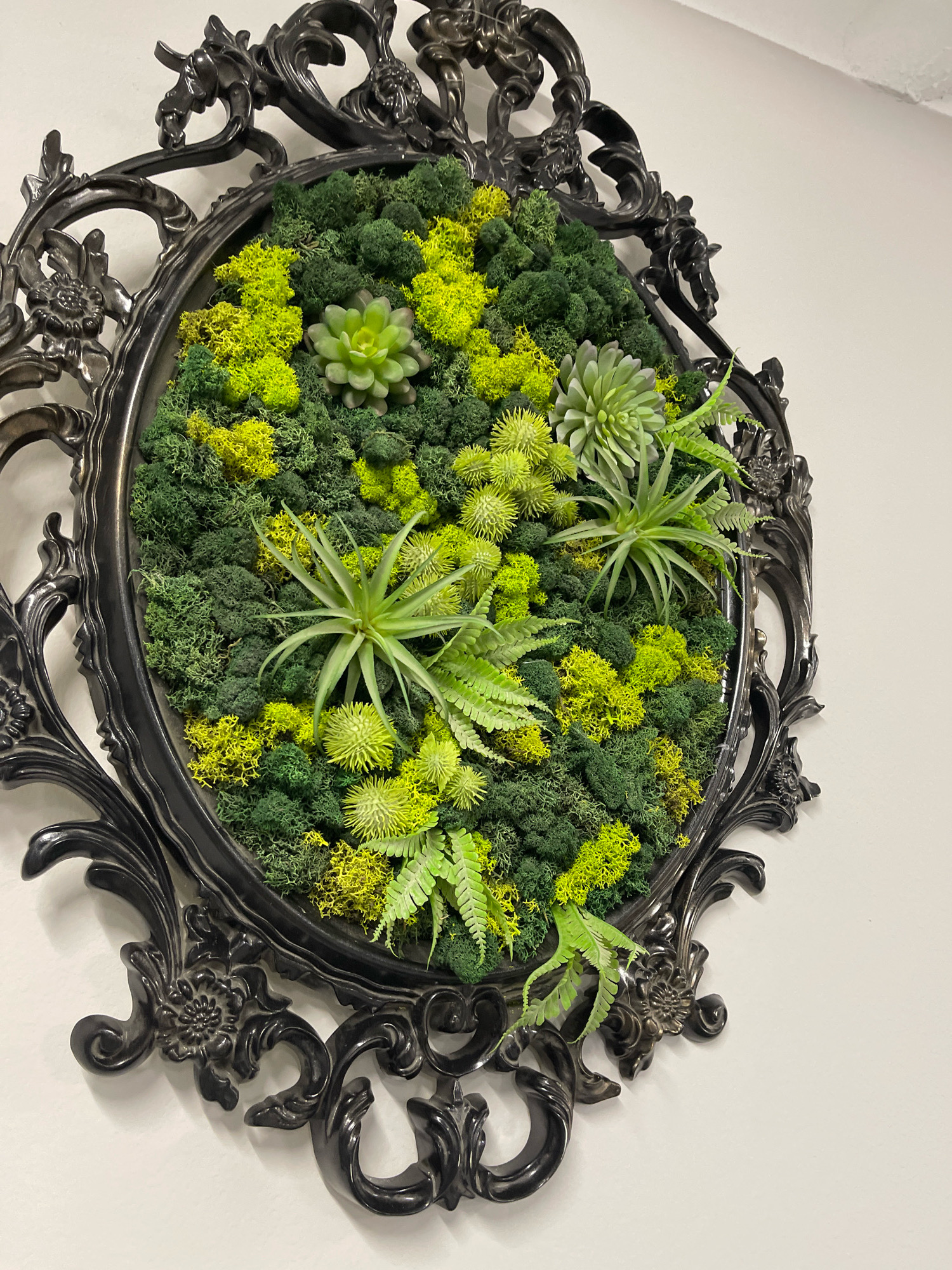 A close-up, eye-level shot shows a decorative oval frame filled with a variety of preserved moss and artificial succulent plants. The frame is ornate and black, with sculpted floral and scroll details. Inside the frame, the moss is arranged in clusters of varying shades of green and yellow, creating a textured, naturalistic backdrop. Several artificial succulents and air plants are strategically placed within the moss. The piece is mounted on a plain white wall. The image provides no information about the city of Kommunarka, Russia, or any people or actions.