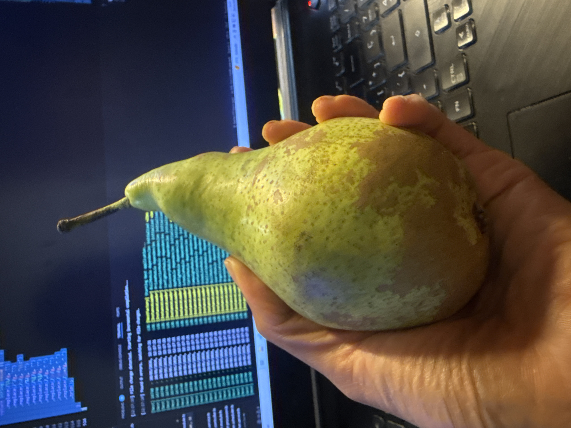 A hand holds a pear in front of a laptop screen displaying code. The laptop keyboard is partially visible. No information is available to determine a location in Barcelona, Spain. There are no other people in the shot.