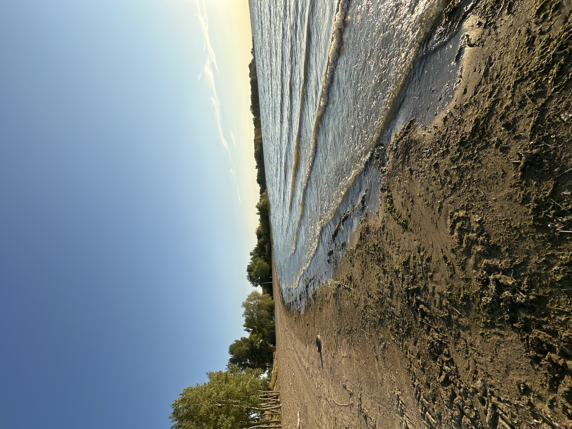 This image captures a serene beach scene along the shore of a body of water, likely a reservoir or lake, on a clear day. The foreground is dominated by a sandy beach, uneven and textured with dried vegetation and debris, indicating a natural, possibly untamed, shoreline. A few small waves gently lap the shore, their surfaces catching the sunlight and creating a shimmering effect.
To the left, a line of trees stands tall, their foliage a vibrant green, suggesting a temperate climate. The trees are arranged in a loose cluster, with some appearing to be younger saplings. The beach extends further inland, curving slightly, and the tree line continues along the horizon, forming a natural backdrop.
The sky above is a clear, bright blue, with only a faint hint of wispy clouds near the horizon on the right side, where the sun appears to be setting or rising, casting a warm glow. The water is calm, with gentle ripples and a soft, muted color that reflects the sky.
While the exact location in Energetik, Russia, is not explicitly identifiable from the visual information alone, the scene evokes a sense of natural beauty and tranquility. It depicts a typical recreational or natural area that might be found near a water body in a city like Energetik, which is known for its proximity to the Sayano-Shushenskaya Dam and reservoir. The image is devoid of people, emphasizing the solitude and peace of the environment. The overall impression is one of a quiet, undeveloped natural landscape.