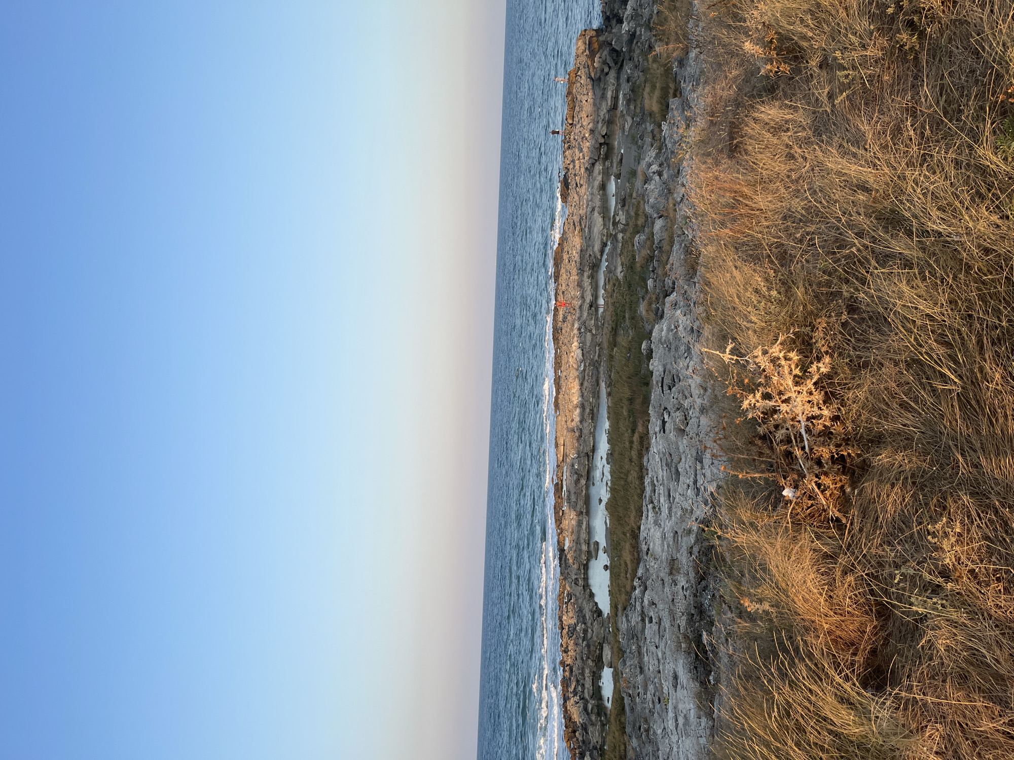The image depicts a coastal scene in Shabla, Bulgaria, with a rocky shoreline meeting the sea under a clear blue sky. In the foreground, dry, golden grasses are illuminated by the low angle of the sun, casting a warm glow. Beyond the grasses, a rugged, rocky expanse stretches towards the water. Small tidal pools are visible among the rocks. The sea is a deep blue, with gentle waves reaching the shore. On the rocks in the middle ground, three individuals are present: one in a red shirt is standing, and two others are further to the right, seemingly observing the sea or fishing. The overall impression is one of a tranquil, natural landscape bathed in the soft light of late afternoon or early morning.