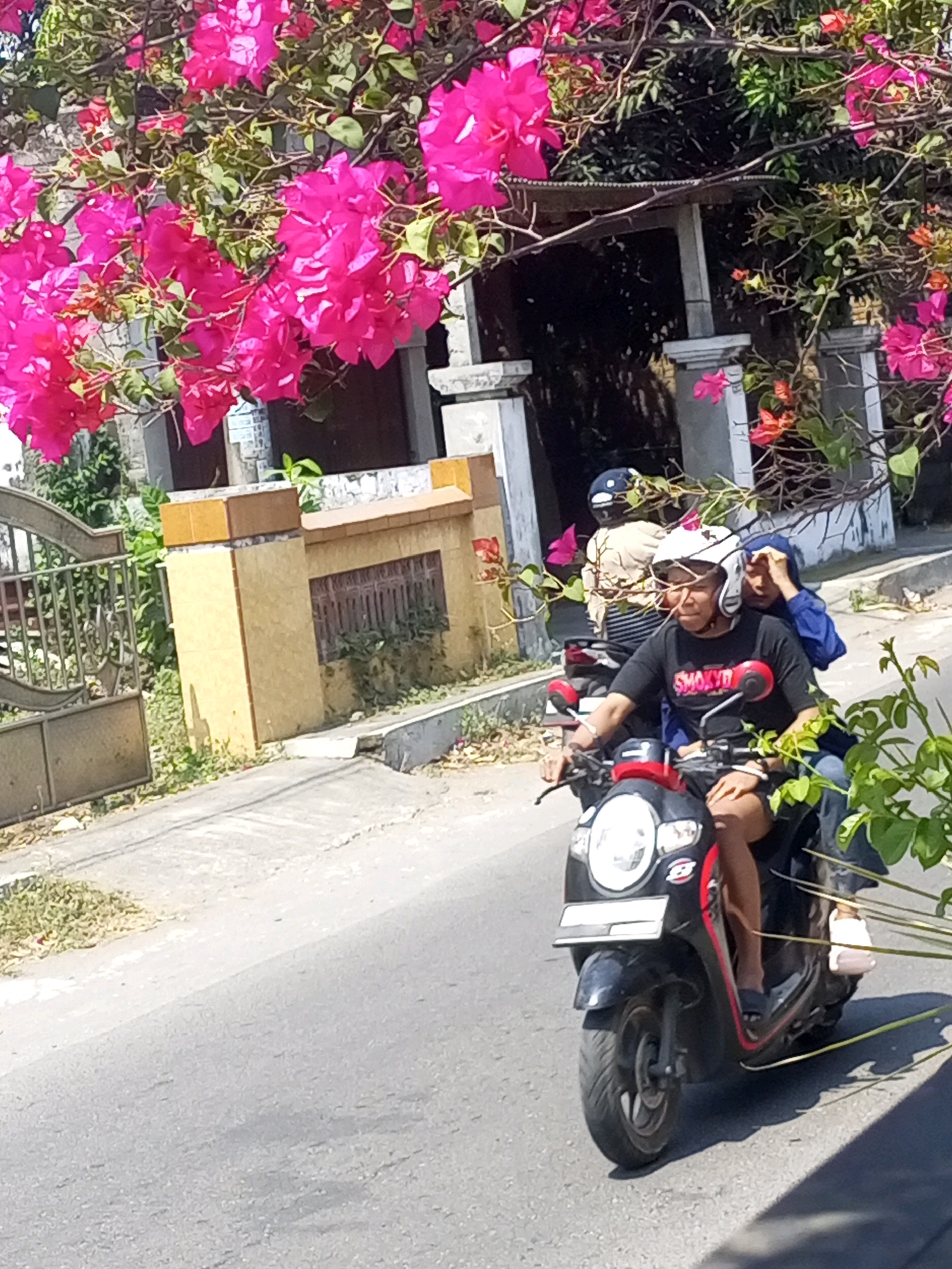 In the city of Ngasem, Indonesia, a person is riding a motorcycle on a paved road, with two other individuals as passengers. The rider, wearing a white helmet and a black t-shirt with the word "SMOKY" printed on it, is driving the motorcycle. A person in a blue headscarf is seated behind the rider, with their arm around the rider's waist. Another person, wearing a light-colored shirt and a dark helmet, is sitting behind them. The motorcycle is black with red accents and has a white license plate. Pink bougainvillea flowers are visible in the foreground, with green leaves and branches extending into the frame. In the background, a fence, a gate, and a building with a tiled roof are present. The environment appears to be a sunny day with clear skies.