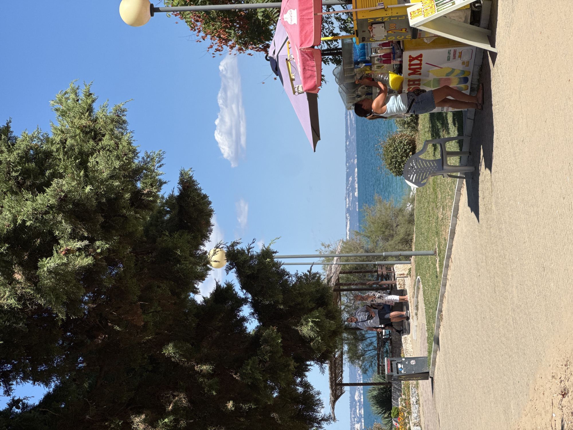 In Varna, Bulgaria, a street vendor prepares a drink at a roadside stand by the Black Sea. The scene is bathed in bright sunlight under a clear blue sky. A large evergreen tree shades the foreground, its branches extending over a paved walkway. To the right, the vendor, a woman with dark hair pulled back, is actively working at a yellow stand adorned with images of colorful frozen drinks. She is pouring a yellow liquid from a large bottle into a machine. A purple umbrella and a pink umbrella shield the stand, with a Coca-Cola logo visible on the pink one. A white plastic chair sits empty to the left of the stand. In the background, the turquoise sea stretches to the horizon, meeting a faint coastline with buildings. Two people, a man and a woman, are seen standing under a thatched-roof shelter near a trash can on the left side of the image, overlooking the sea. The overall setting suggests a warm, vacation atmosphere.