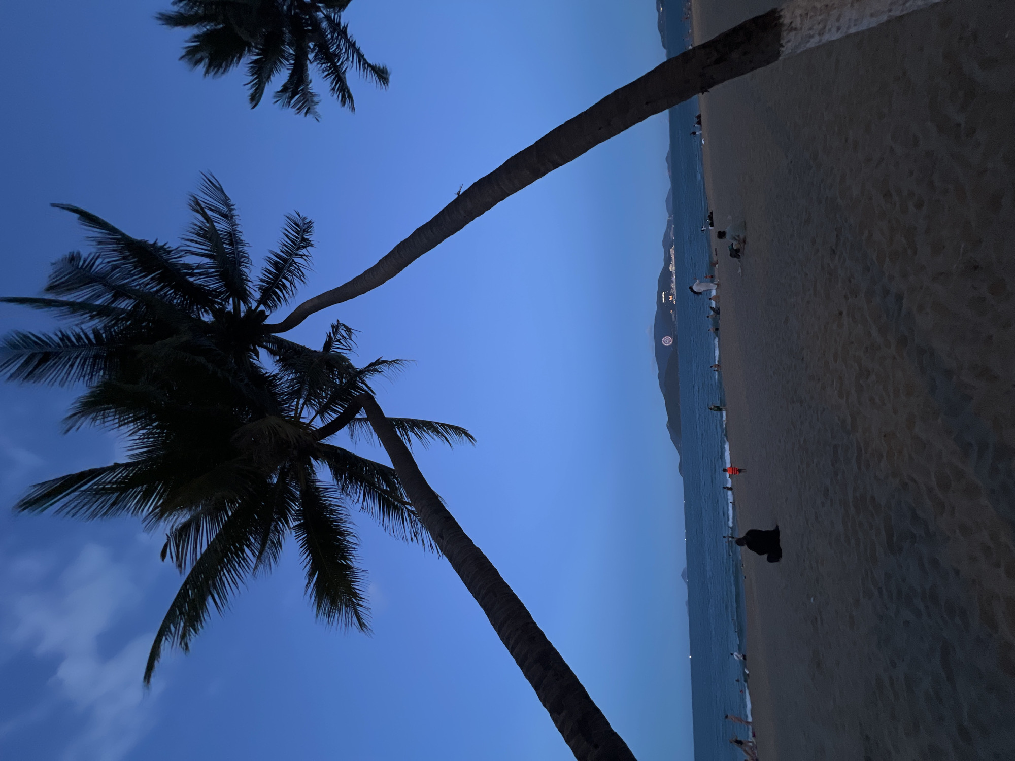 The image depicts a beach scene in Nha Trang, Vietnam, at dusk or dawn, characterized by a dark blue sky transitioning to lighter shades towards the horizon. Silhouetted palm trees are prominently featured, extending into the sky. The beach is populated with a few indistinct figures, some standing near the water's edge and others further inland. The shoreline is visible as a line where the water meets the sand. In the distance, a city skyline can be discerned along the coast, with faint lights suggesting urban development. The angle of the photograph is oriented vertically, capturing both the sky and the beach in a single frame.