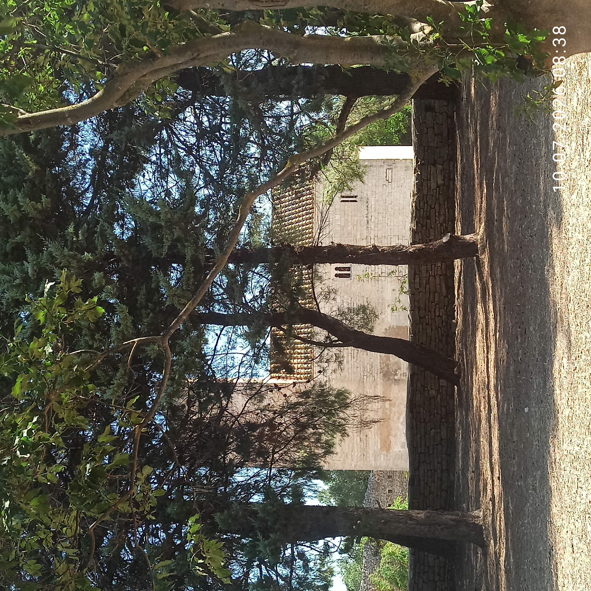 The image shows a stone building with a tiled roof, partially obscured by trees. The building appears to be an old church or historical structure. A stone wall runs in front of the building, and the ground is covered in dry grass and dirt with shadows cast by the trees. The sky is visible through the leaves of the trees, and it is a clear blue. A timestamp, "10.07.2026 08:38", is visible in the lower right corner of the image. This structure is located in Terlizzi, Italy.