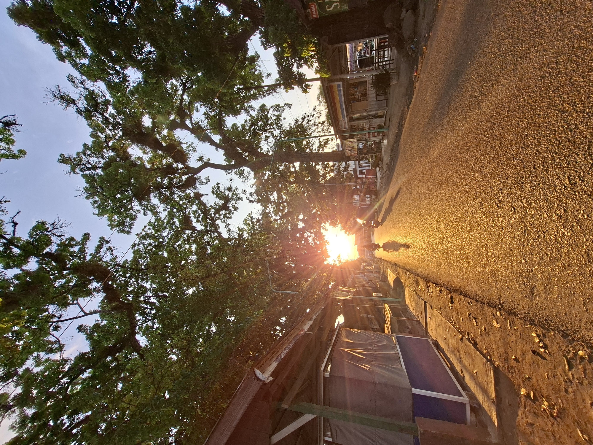 This image, captured in Lhokseumawe, Indonesia, depicts a sunlit street scene, likely during sunrise or sunset, given the warm, low-angle light. The perspective is tilted, but if oriented correctly, it shows a paved asphalt road stretching into the distance, brilliantly illuminated by the golden sun.
The intense sun, positioned towards the center-right of the frame, creates a strong lens flare and casts a radiant golden glow across the road's granular surface, making it appear almost molten. On the left side of the street, large, mature trees with dense green foliage dominate the view, their branches and leaves reaching towards a pale blue sky. Some branches appear gnarled and covered in moss or epiphytes.
Along the right side of the road, behind a curb, are various structures. In the foreground, there's a wooden structure that appears to be under construction or renovation, partially covered with dark tarps. Further down the street, partially visible through the trees and sunlight, are small buildings or stalls, one of which features a green sign with white text that reads "BARU" (meaning "new" in Indonesian) and a partially obscured "S" below it. Blurry, silhouetted figures, possibly individuals on motorcycles, can be seen moving down the sun-drenched road in the distance, indicating typical daily activity. The overall atmosphere is warm and vibrant, bathed in the rich hues of golden hour.