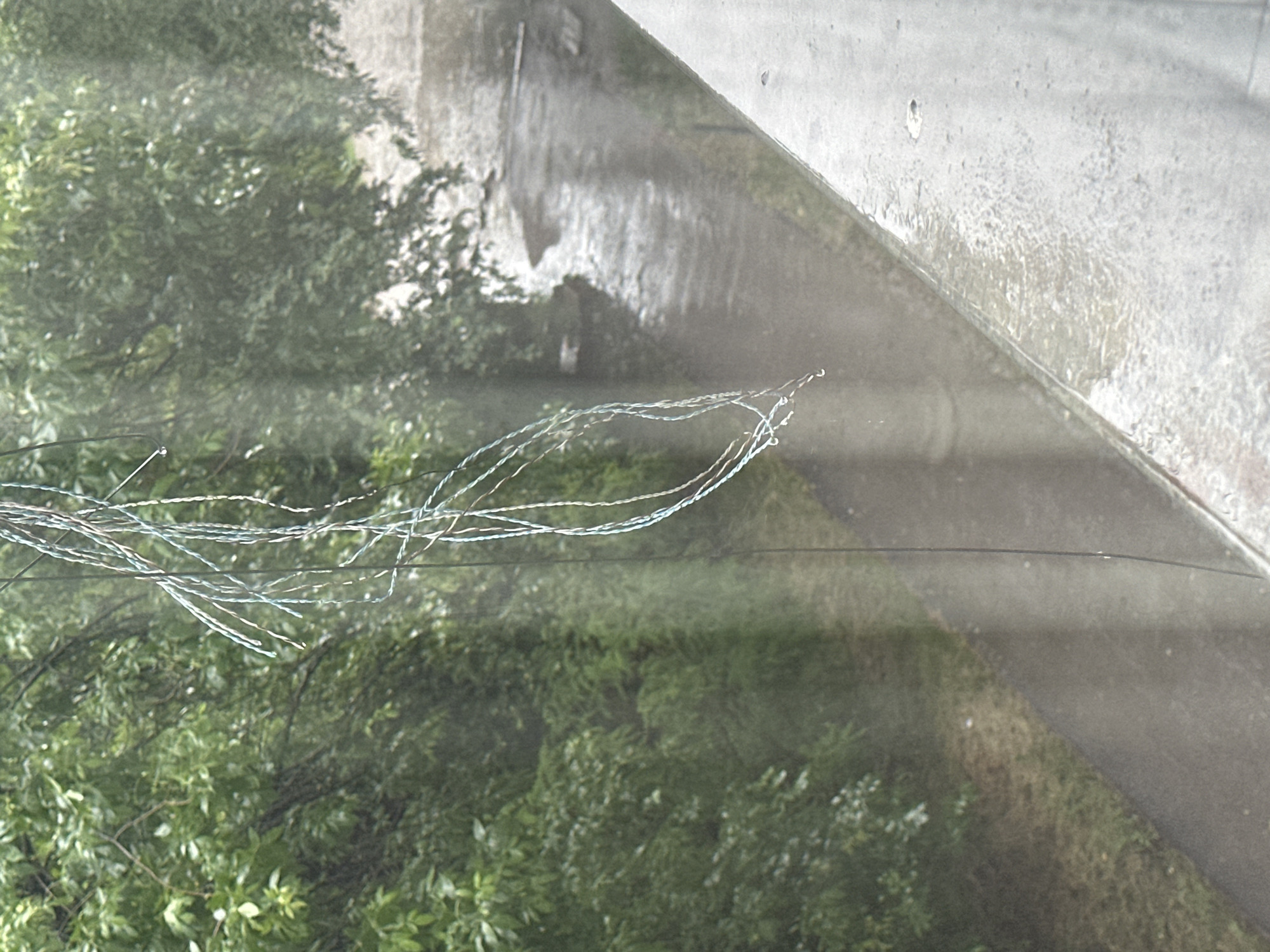 This media file presents an outdoor scene viewed from an elevated perspective, looking downwards. The original image is oriented sideways, but when viewed upright, it shows a natural environment alongside urban infrastructure.
In the immediate foreground, a tangle of thin, light-colored, twisted wires, possibly electrical or communication cables, stretches horizontally across the frame. These wires are slightly out of focus.
Below and behind the wires, the left side of the scene is dominated by dense, lush green foliage, likely trees or bushes. The leaves appear slightly wet or reflective, suggesting recent rain or high humidity.
Towards the right and background, a wet, dark paved surface, resembling a road or path, runs diagonally upwards. This surface reflects ambient light, indicating dampness. Adjacent to the paved area, a light-colored concrete wall or barrier rises, also appearing wet and textured. The overall impression is one of a transition between a natural, overgrown area and a more constructed environment.
There are no people visible in the image. No specific activity is taking place; the scene is static. The time of day appears to be daytime, with natural, somewhat diffuse lighting. The wet appearance of the ground, foliage, and wall suggests recent precipitation. The location is in Sofia, Bulgaria, as per the provided context, although there are no specific architectural or geographic cues within the image itself to confirm this. No text is visible.