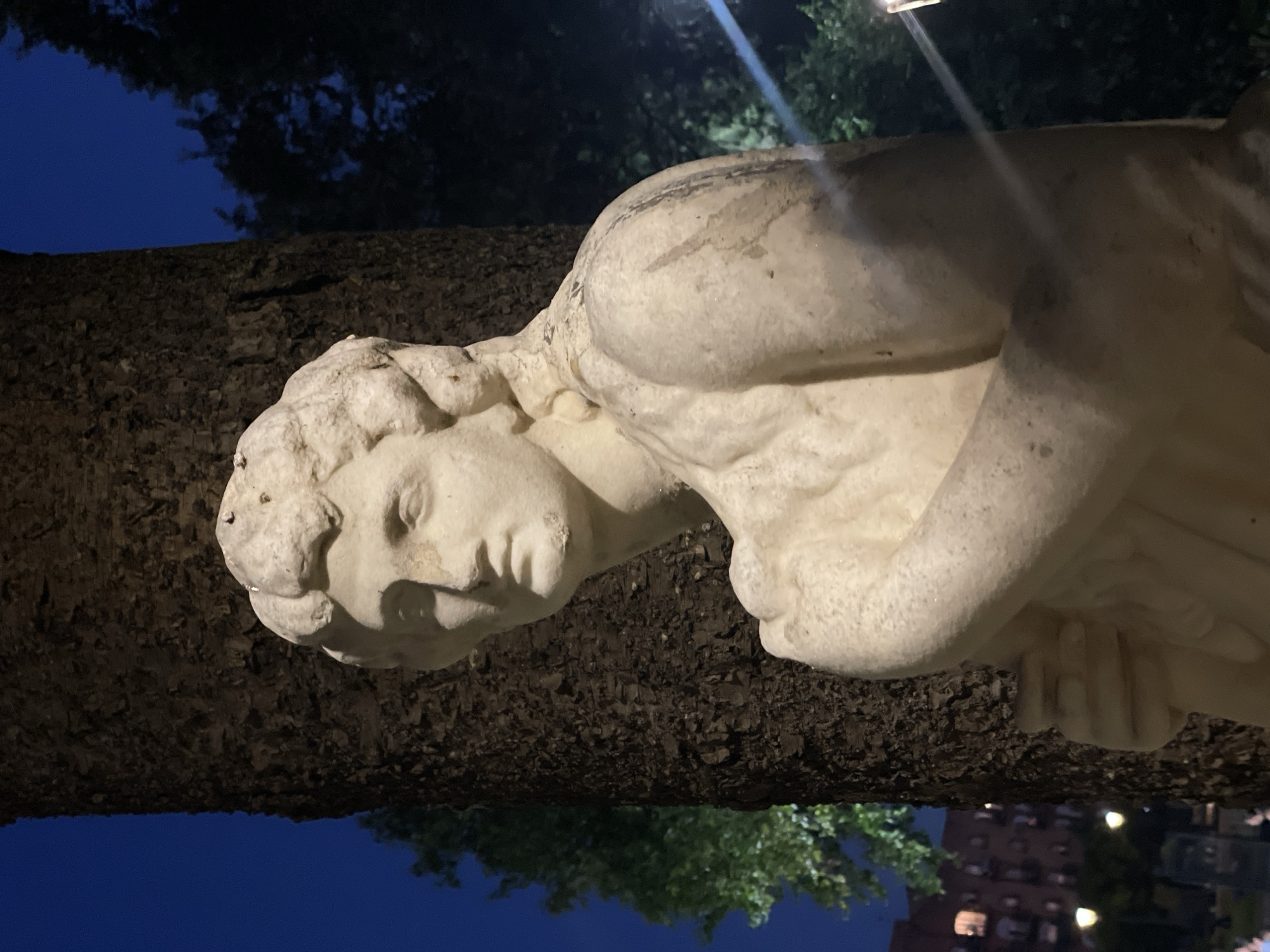The image shows a close-up view of a weathered stone statue of a young person, possibly a mythological figure, standing next to a tree trunk at night. The statue is made of light-colored stone and exhibits signs of age and wear. The figure's head is turned to the left, with its gaze directed outward. The statue's hair is styled in curls, and its body is partially visible, appearing to be draped in cloth. The tree trunk is rough and dark, contrasting with the smooth texture of the statue. In the background, out-of-focus trees and a deep blue night sky are visible. To the left, there are hints of buildings with illuminated windows and streetlights, suggesting an urban environment. The lighting in the scene appears to be artificial, casting shadows and highlighting the textures of the statue and the tree. The location is identified as La Línea de la Concepción, Spain, indicating this is an outdoor public space within the city.