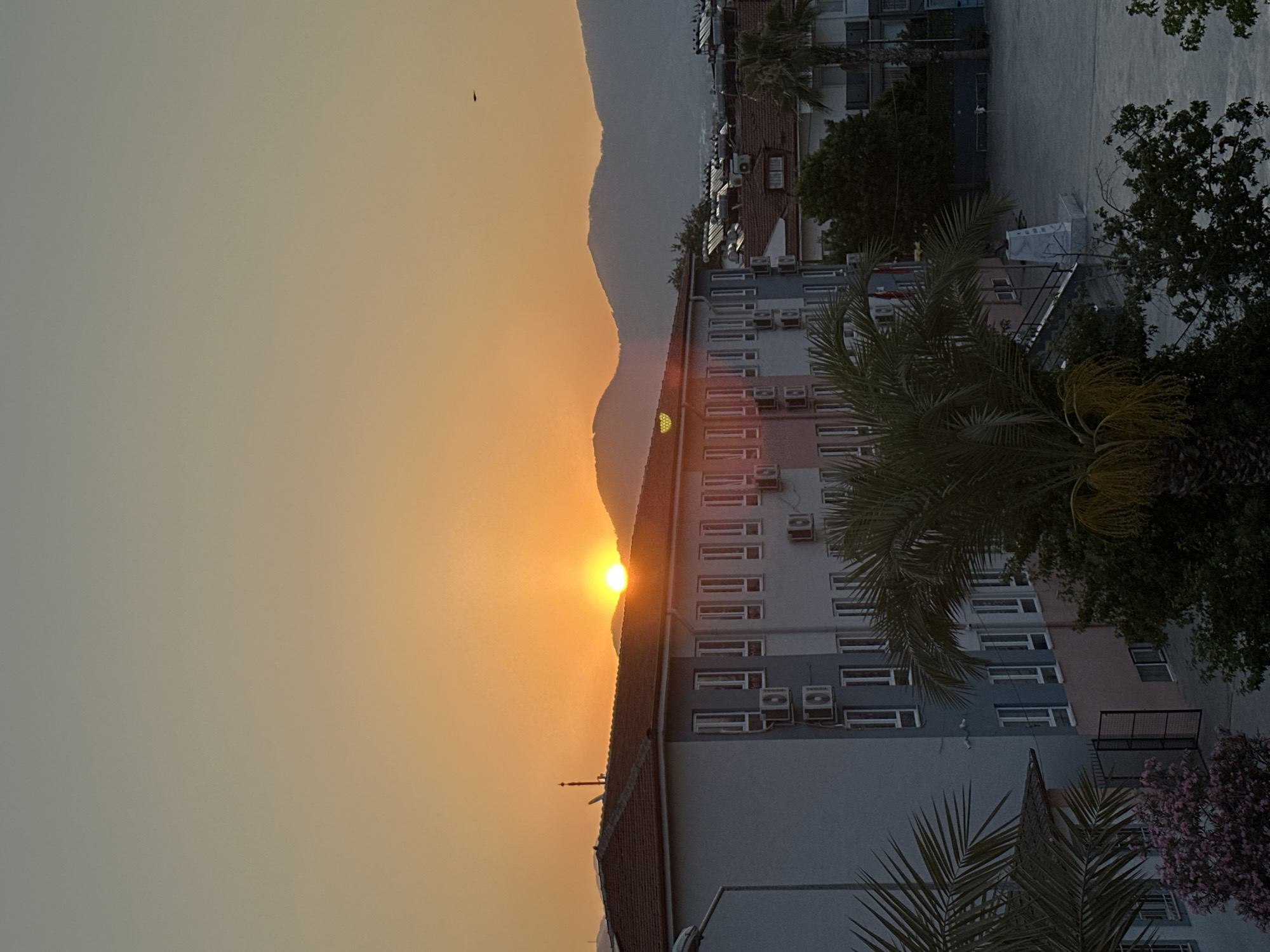 This is a vertical, eye-level, medium shot capturing a sunset over a city in Fethiye, Turkey. The sun, a bright orange orb, is partially obscured by a mountain range in the distance, casting a warm glow across the sky. In the foreground, a multi-story building with a grey and pink facade dominates the scene. Numerous air conditioning units are mounted on the building's exterior, and windows are arranged in neat rows. Palm trees with large fronds frame the left and right sides of the building, and flowering bushes with pink blossoms are visible at the bottom left. The sky transitions from a soft orange near the horizon to a pale grey at the top of the frame. A solitary bird is visible in flight in the upper right portion of the sky. The overall impression is one of a tranquil evening in a coastal city.