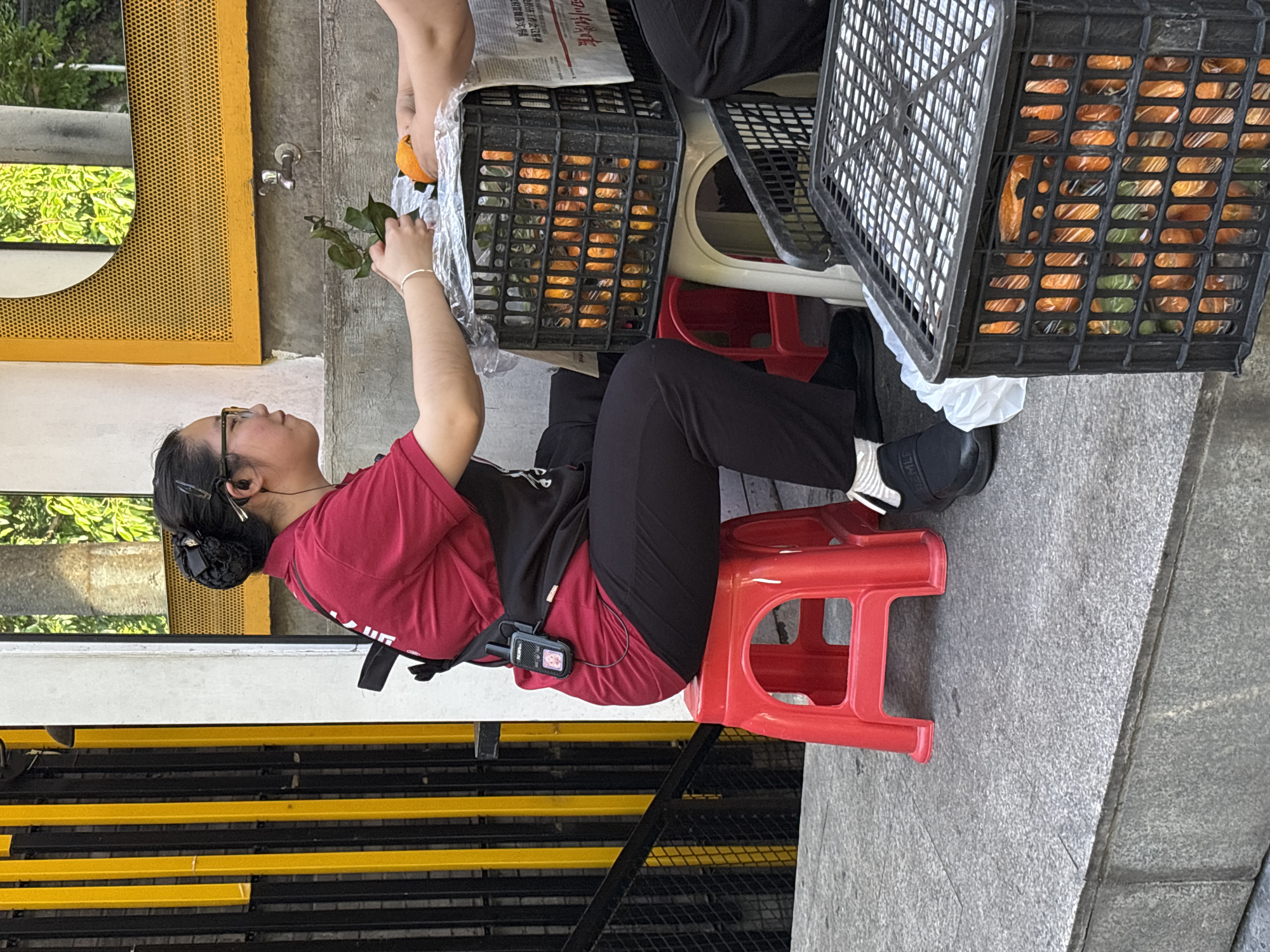 A woman sits on a red plastic stool next to a building with black and yellow bars in Yuzhong District, China. She wears a maroon shirt, black pants, glasses, and has her hair in a bun. She holds a green sprig and a mandarin orange in her hands. Next to her are black plastic crates filled with oranges. Another person's arm is visible, holding an orange. The scene suggests she is either selling or sorting the fruit. The location is a street with some building infrastructure visible.