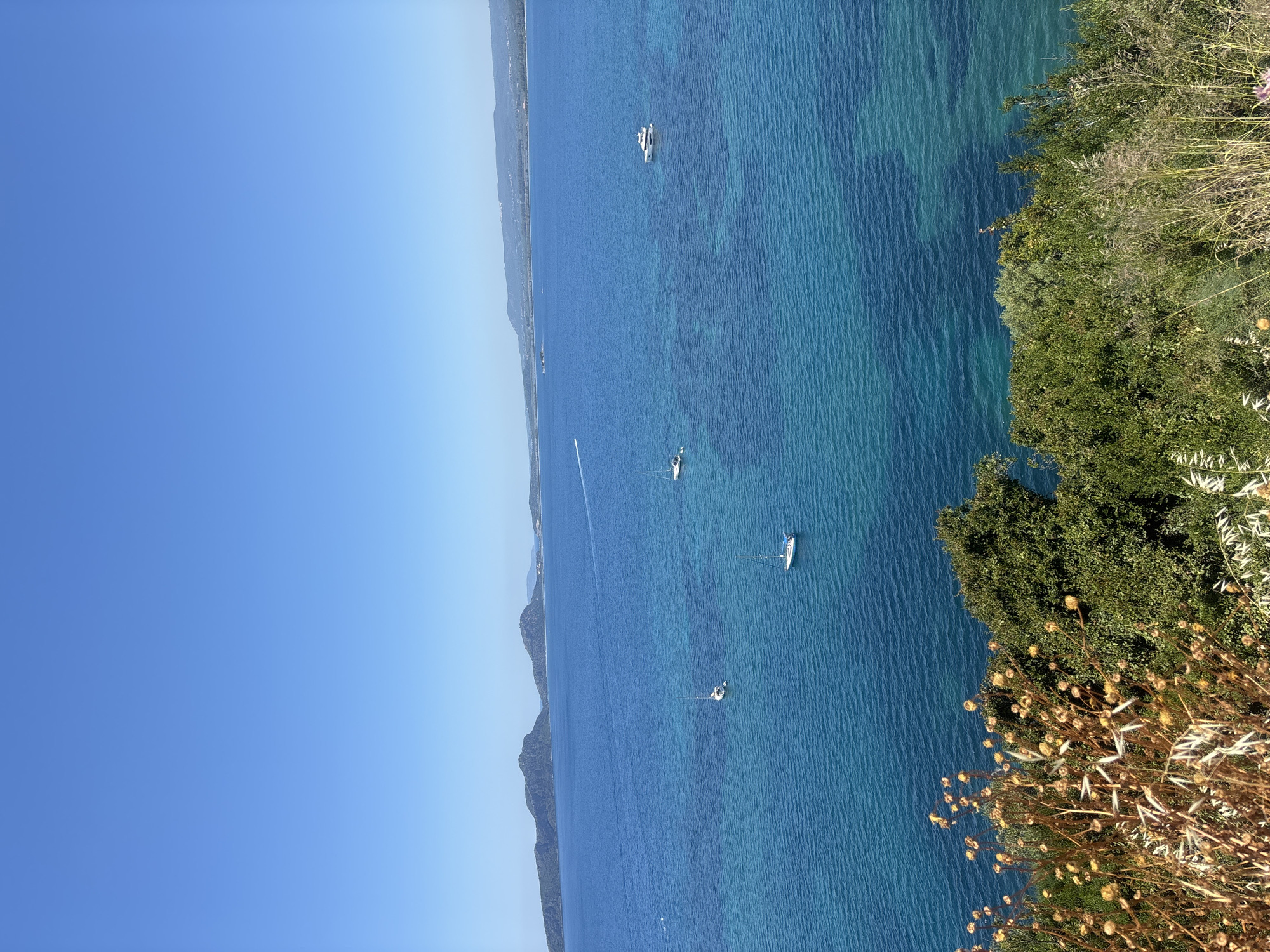 An eye-level shot facing downwards shows the coast of Pylos, Greece. The clear blue sky takes up half of the image to the left. The other half is an expanse of deep blue water with several boats dotting the surface. A narrow strip of land is visible in the distance on the left. On the right is the edge of the land where green bushes, tall grass, and beige flowers are.