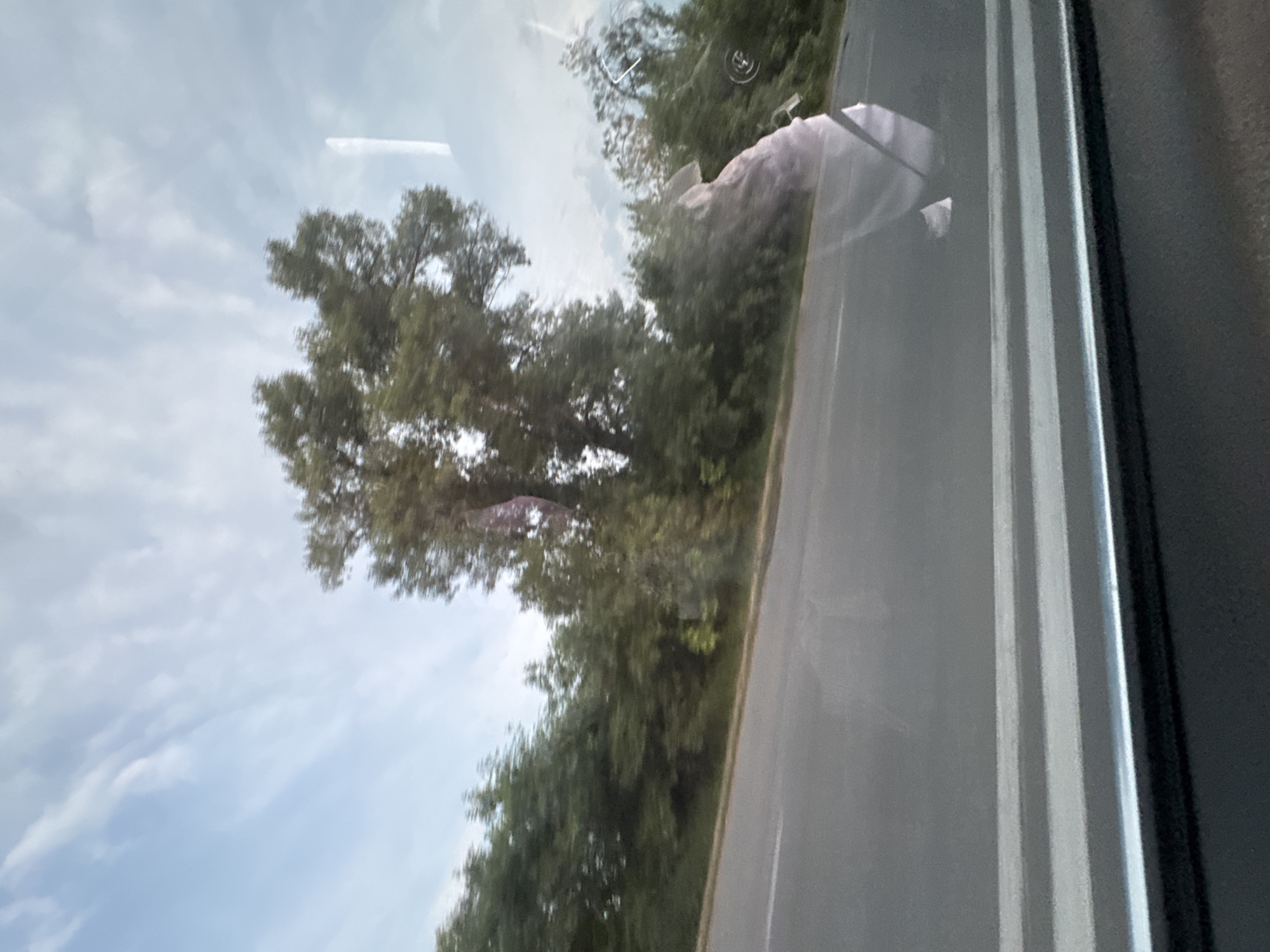 The image, captured from the interior of a moving vehicle, displays a roadside environment under a bright, cloud-dotted sky, indicative of daytime conditions. The scene is reportedly located in the city of Suprunivka, Ukraine.
The upper portion of the frame features a pale blue sky with wispy, elongated white clouds, suggesting fair weather. Below the sky, a dense line of various green deciduous trees parallels a dark asphalt road. The trees exhibit a degree of motion blur, consistent with the perspective from a moving vehicle. A prominent, large tree with a full canopy dominates the upper center-right, showing slightly more distinct detail than the more blurred background foliage.
The dark grey asphalt road occupies the lower-middle section of the image, featuring a distinct light grey or white line, likely a lane marker or shoulder demarcation. The road appears to recede towards the left.
Significant reflections on the vehicle's side window overlay the external scene. These include a bright, narrow vertical streak in the upper right quadrant. A large, irregular, translucent reflection, primarily white with faint pinkish hues, occupies the middle-right. This reflection suggests an object or person within the vehicle, potentially depicting folded fabric or clothing due to its undulating form and visible contours, possibly a headrest or passenger draped with material. A dark, semi-circular object (possibly part of the car's interior, like a mirror housing) is partially visible behind this reflection near its upper right edge.
The lower portion of the image clearly displays the vehicle's interior window frame, comprising dark grey or black trim at the very bottom, topped by several horizontal metallic strips of varying thickness, predominantly light grey and silver, reflecting a subtle blue hue at the lowest visible trim line. The reflection of the vehicle's dark interior surface is faintly visible on the lower glass pane.