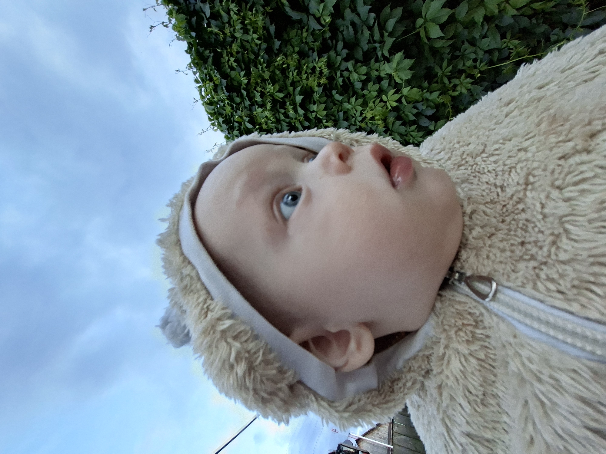 A close-up, low-angle shot shows a baby from the chest up, wearing a fuzzy cream-colored hooded jacket with a zipper. The baby is looking to the right with wide blue eyes and a slightly open mouth. The background consists of a lush green hedge and a cloudy blue sky. To the left of the hedge, part of a wooden fence and a utility pole are visible. The image appears to have been taken outdoors.