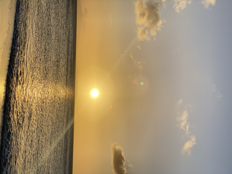 The image displays a sunset over the sea, observed from a beach in Juan Griego, Venezuela. The horizon line is visible across the middle of the frame, dividing the body of water from the sky. The sun, appearing as a distinct yellow-orange sphere, is centrally positioned above the horizon, casting a bright, shimmering reflection that extends as a golden path across the water's surface towards the foreground. The sky transitions from a vibrant yellow-orange near the sun to lighter blue tones in the upper regions, with scattered cumulus clouds illuminated by the setting sun's glow. A small, dark, avian silhouette is discernible flying in the upper-left quadrant of the sky. Lens flares, including a circular green artifact and linear light streaks, are visible originating from the sun. Distant, indistinct land masses are present along the horizon, primarily on the left side. The water is a textured dark blue-grey, exhibiting small waves that break onto a narrow strip of wet sand in the lower portion of the frame. No individuals or man-made objects are present.