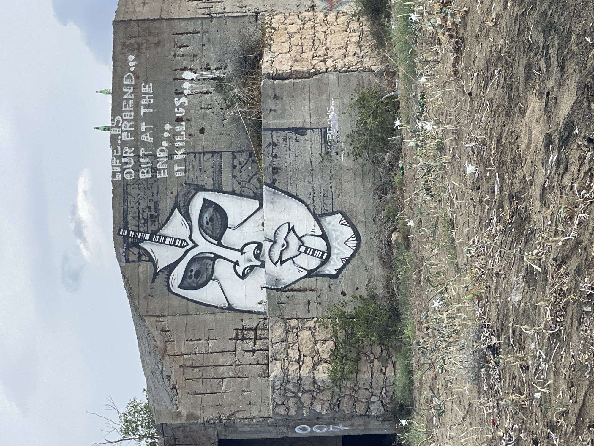 The image depicts a section of a weathered concrete structure, possibly a former military installation, located in Trikomo, Northern Cyprus. The structure is covered in graffiti. Prominently displayed on the upper portion of the wall is a large, stylized black and white graffiti image of a face with large, dark eyes and pursed lips. Above the face, white spray-painted text reads: "LIFE IS OUR FRIEND... BUT AT THE END... IT KILLS US". Two green beer bottles are placed on the top edge of the structure. The lower part of the structure is partially clad in rough-hewn stone blocks. The foreground is a dry, sandy area with sparse, dry vegetation and some white flowers. The sky is overcast. The overall scene suggests an abandoned or derelict location with artistic intervention.
