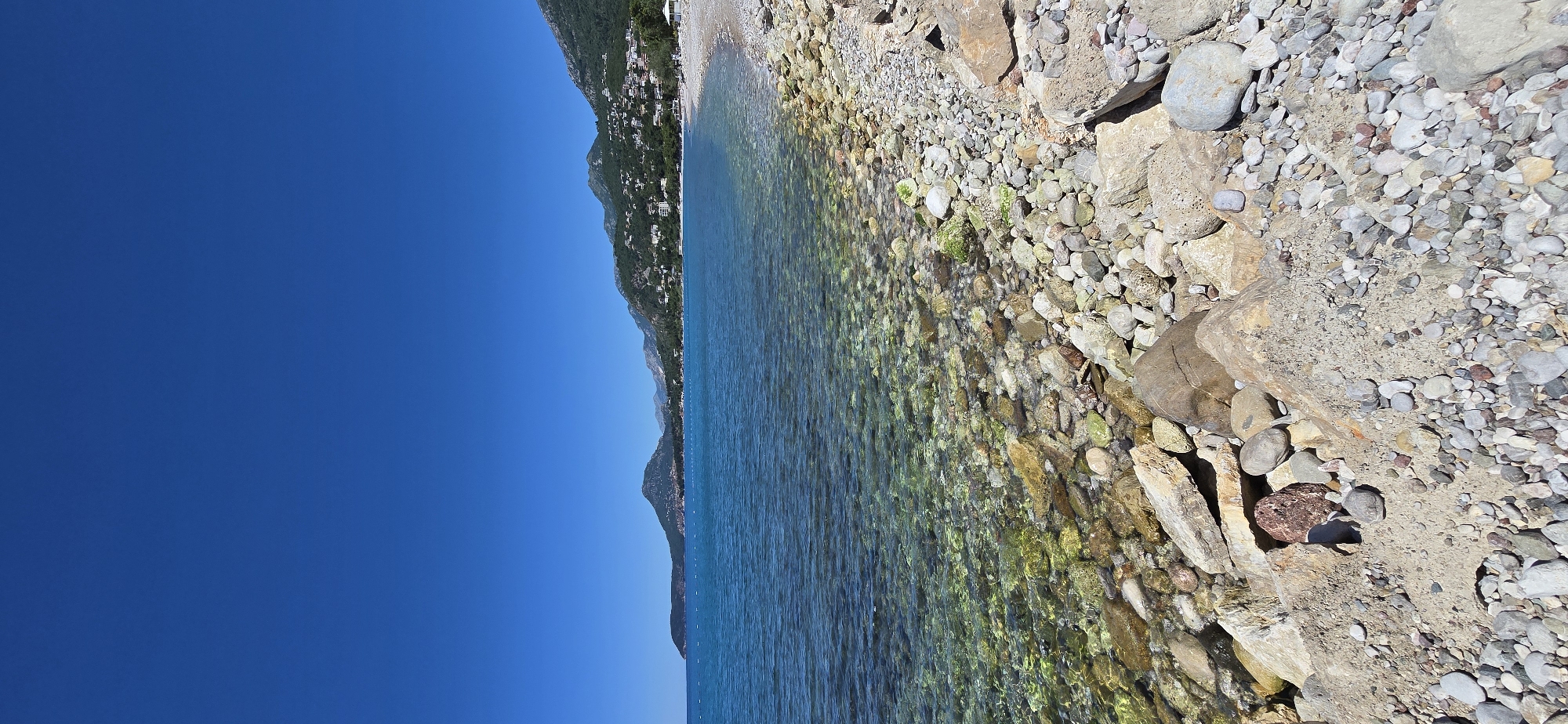 The image shows a rocky beach along the coast in the city of Bar, Montenegro. The scene depicts the meeting point of the clear, turquoise water of the Adriatic Sea and the shoreline, which consists of rocks and pebbles. The water near the shore reveals the underwater rocks and algae. The background shows a coastline dotted with buildings and structures. The sky is a solid blue. There are no people visible in the image.