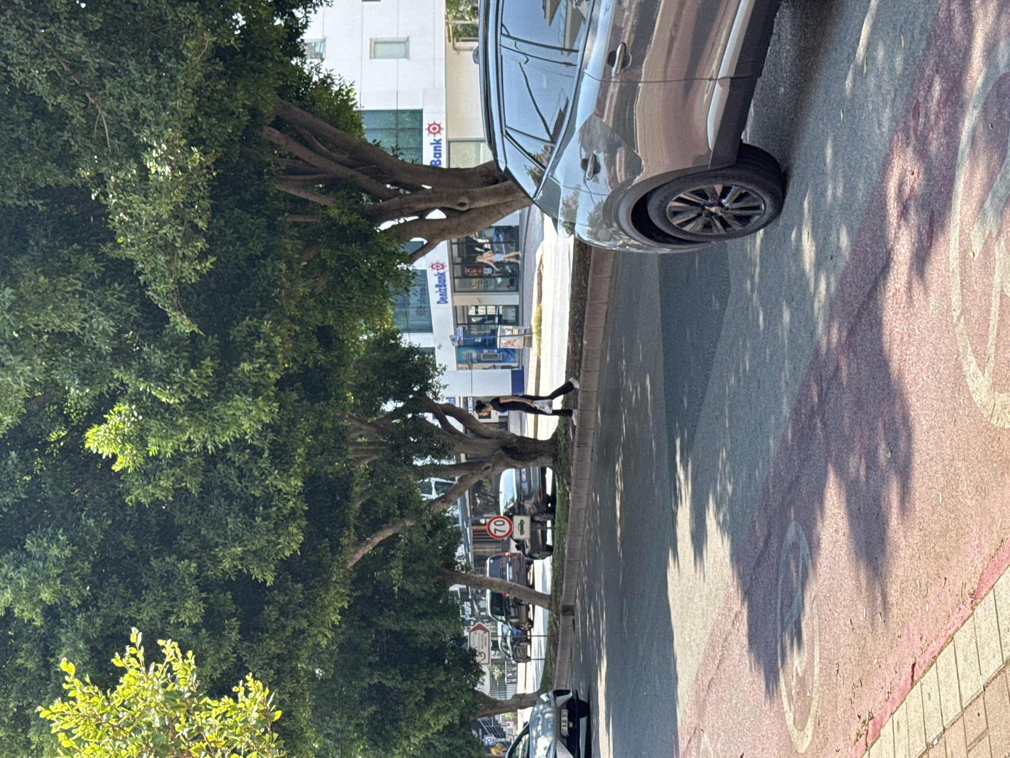 The image depicts a street scene in Antalya, Turkey, with a prominent focus on lush green trees lining the sidewalk. In the foreground, a grey SUV is parked on the right side of the road, partially obscuring the view of a red and white marked lane on the asphalt. Across the street, a woman in black is walking on the sidewalk, carrying a white bag, and a speed limit sign indicating 70 is visible. Further down the street, a building with "DenizBank" signage is situated. Several other vehicles are observed on the road, including a silver car on the left and other cars parked or moving in the background. The environment appears to be a sunny day with shadows cast by the trees on the road.