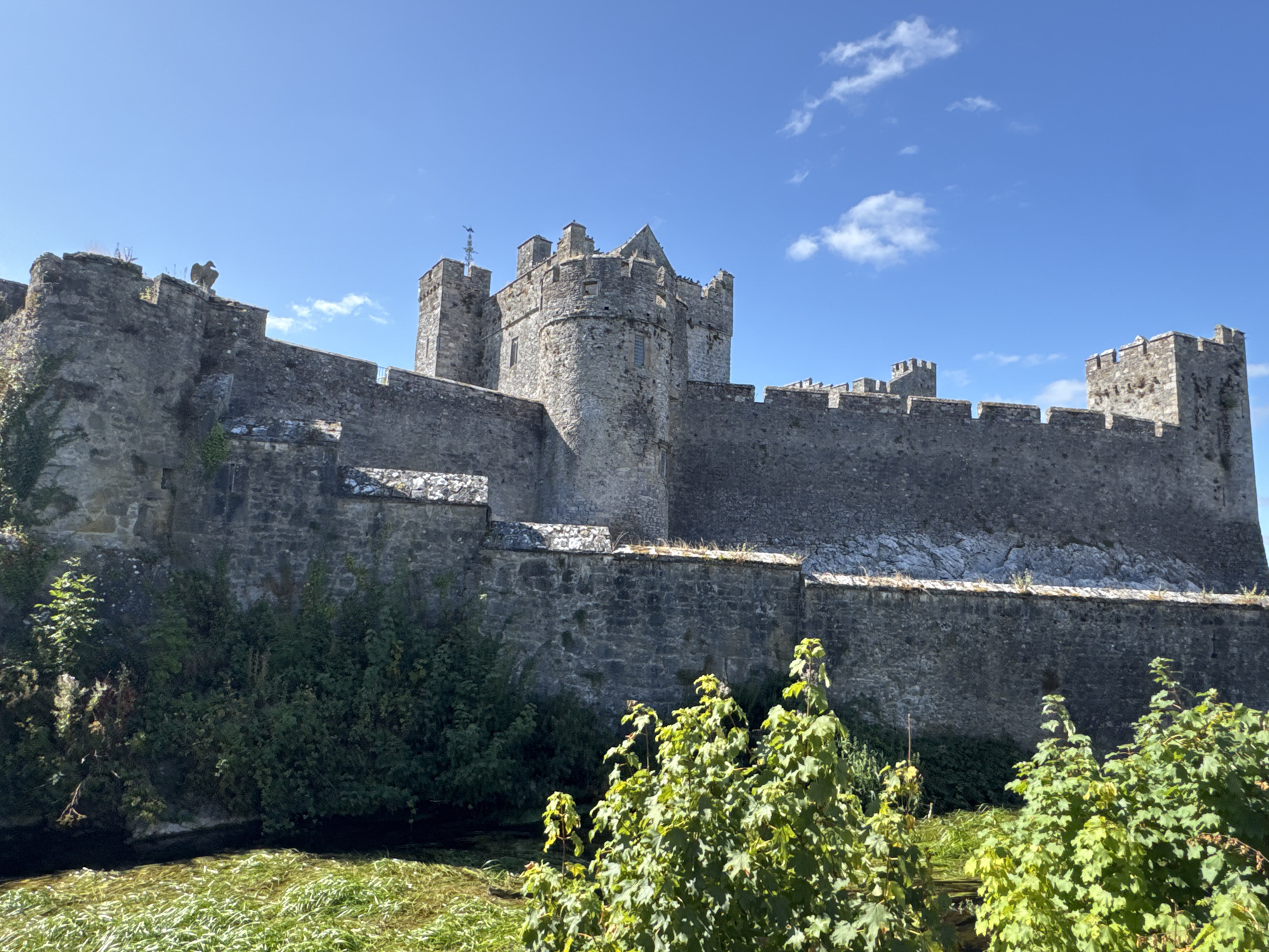 The image shows a portion of Cahir Castle, located in Cahir, County Tipperary, Ireland. The castle is a large medieval fortress constructed primarily of stone, with a weathered, grey facade. It features crenellated battlements, tall towers, and thick stone walls. Lush green foliage, including trees and bushes, grows around the base of the castle and along the edge of a dark body of water that runs in front of it. The water is partially covered with bright green grass or reeds. The sky above is a clear, vibrant blue with a few scattered white clouds. The lighting suggests it is daytime, likely mid-morning or afternoon. The scene is devoid of any people or visible activity.