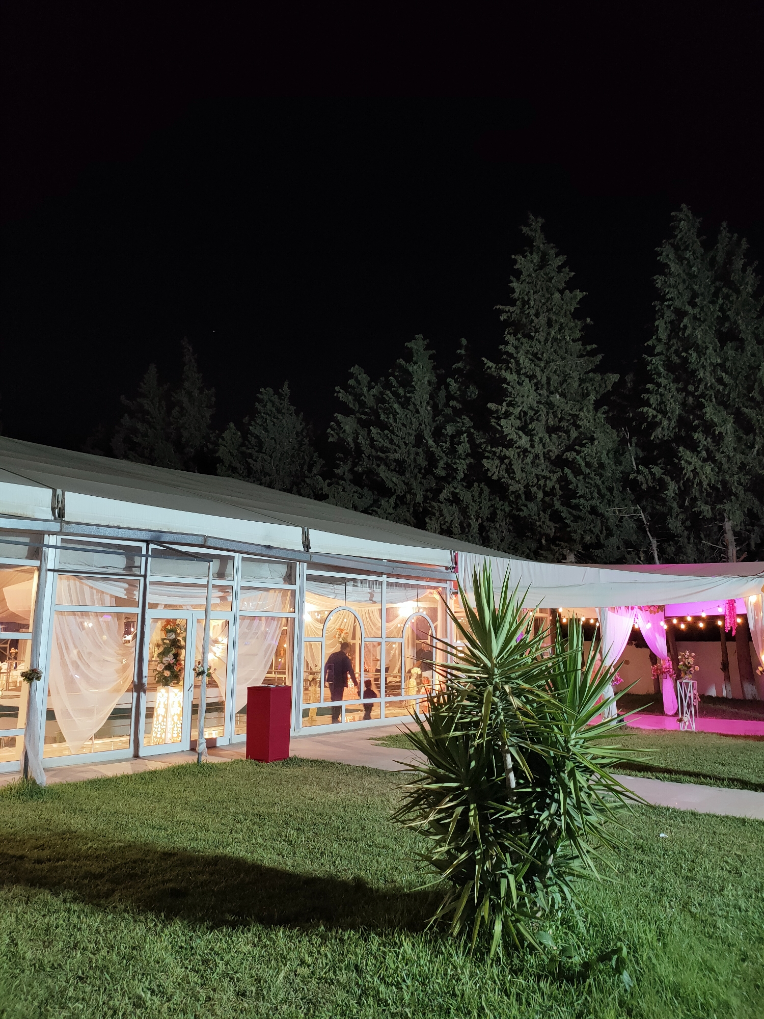 The image depicts an outdoor event space at night, likely a venue in Mornag, Tunisia. In the foreground, a neatly manicured lawn casts a long shadow. A spiky, green plant stands prominently in the mid-ground. Behind it, a large, white tent structure with transparent walls encloses a warmly lit interior, suggesting a catered event or reception. Inside the tent, sheer white drapes soften the light, and glimpses of tables and decorations are visible. One person, silhouetted against the interior lights, is seen walking within the tent. Further to the right, the tent opens to reveal a decorated area with pink drapes and string lights, illuminated by pink and white lights, hinting at a festive atmosphere. Tall, dark green trees form a backdrop against the night sky, framing the scene. The overall impression is of an organized gathering taking place under the cover of darkness, with artificial lighting creating a welcoming ambiance.