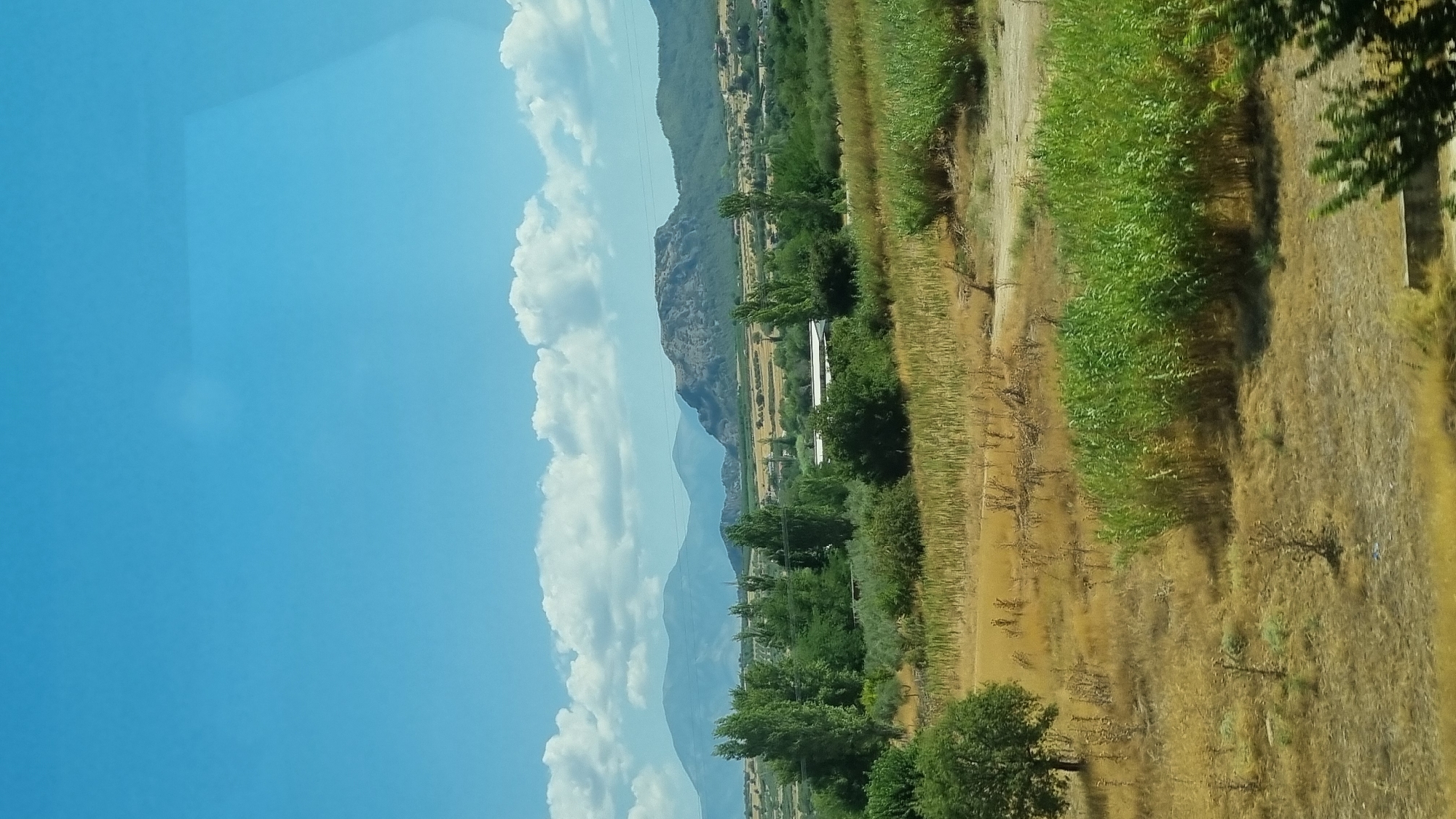 The image captures a vast landscape under a bright blue sky with scattered white clouds, likely taken on a clear day. In the foreground, dry, golden grass fields dominate, interspersed with patches of green vegetation. A prominent single green tree stands to the left of the frame, while a dense cluster of tall green plants is visible on the right. Further in the middle ground, a line of tall, slender trees runs horizontally across the image. Beyond the trees, there's a more cultivated landscape with fields and scattered buildings, including a white structure that appears to be a shed or small industrial building. The background features rolling hills and distant mountains, with a distinct rocky peak in the center. The scene appears to be rural and natural, possibly a view from a moving vehicle. The overall impression is one of a sunny, rural environment in the vicinity of Sidirokastro, Greece.