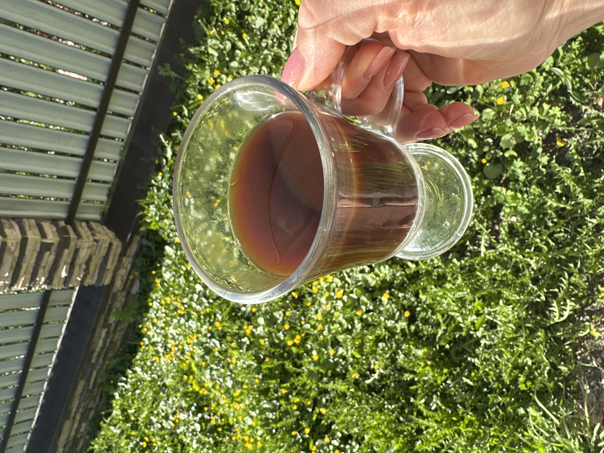 A right hand with manicured pink nails holds a clear glass mug filled with a brown liquid, presumably coffee or tea. The mug is positioned above a patch of green vegetation interspersed with small yellow flowers, suggesting a lawn or garden setting. Part of a wooden or metal structure with horizontal slats is visible to the left, potentially a fence or railing. The photograph was taken outdoors in daylight. No specific location in Nizhny Novgorod, Russia is identifiable from the given image.