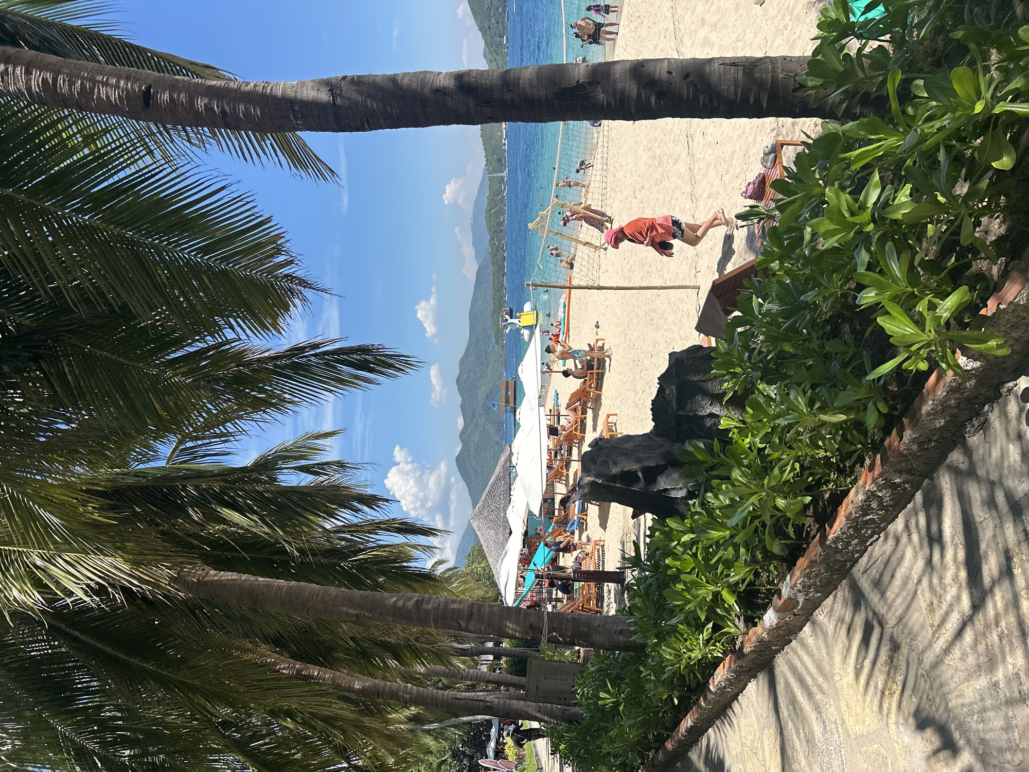 This is a sunny day at a beach resort in Nam Nha Trang Ward, Vietnam. In the foreground, lush green foliage lines a brick-edged pathway, casting palm frond shadows. A line of tall palm trees with rough, textured trunks stretches across the left side of the frame, their fronds creating a canopy. Beyond the foliage and pathway is a sandy beach dotted with numerous lounge chairs and several white umbrellas, some occupied by beachgoers. In the middle ground, a volleyball net is set up with people playing. Further out, the clear blue ocean is visible, with several small boats and a large floating water park attraction. In the background, verdant, mountainous islands rise from the water under a bright blue sky with scattered white clouds.