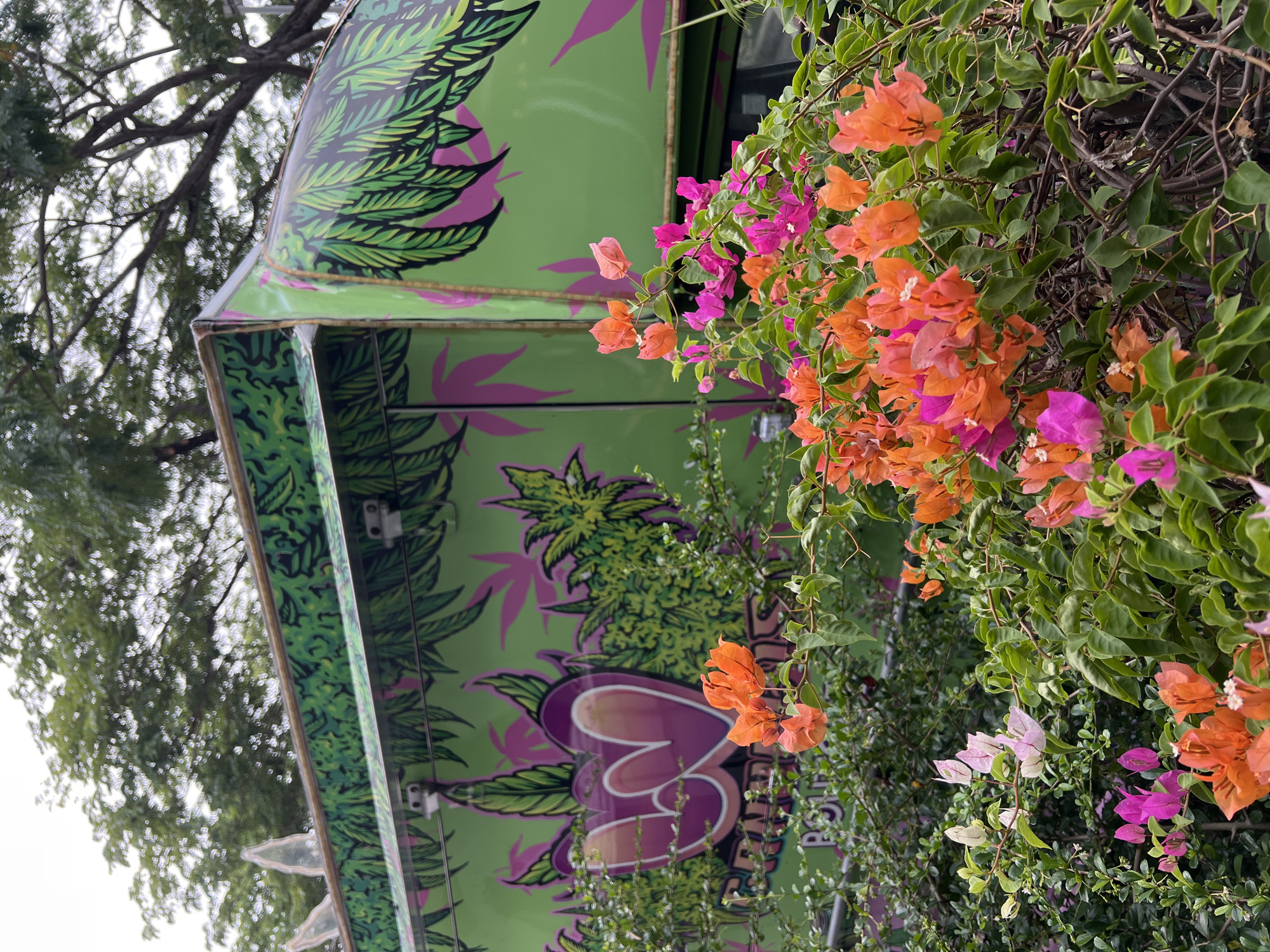 A vibrant image showcases a building with a light green exterior adorned with artwork depicting marijuana leaves in various shades of green and purple. The structure is further embellished with the logo of "3 Bud." To the right of the building, a profusion of flowering vegetation adds a splash of color to the scene with its mix of pink and orange blooms. Additional greenery, including trees and other plants, surrounds the structure, suggesting an outdoor environment.