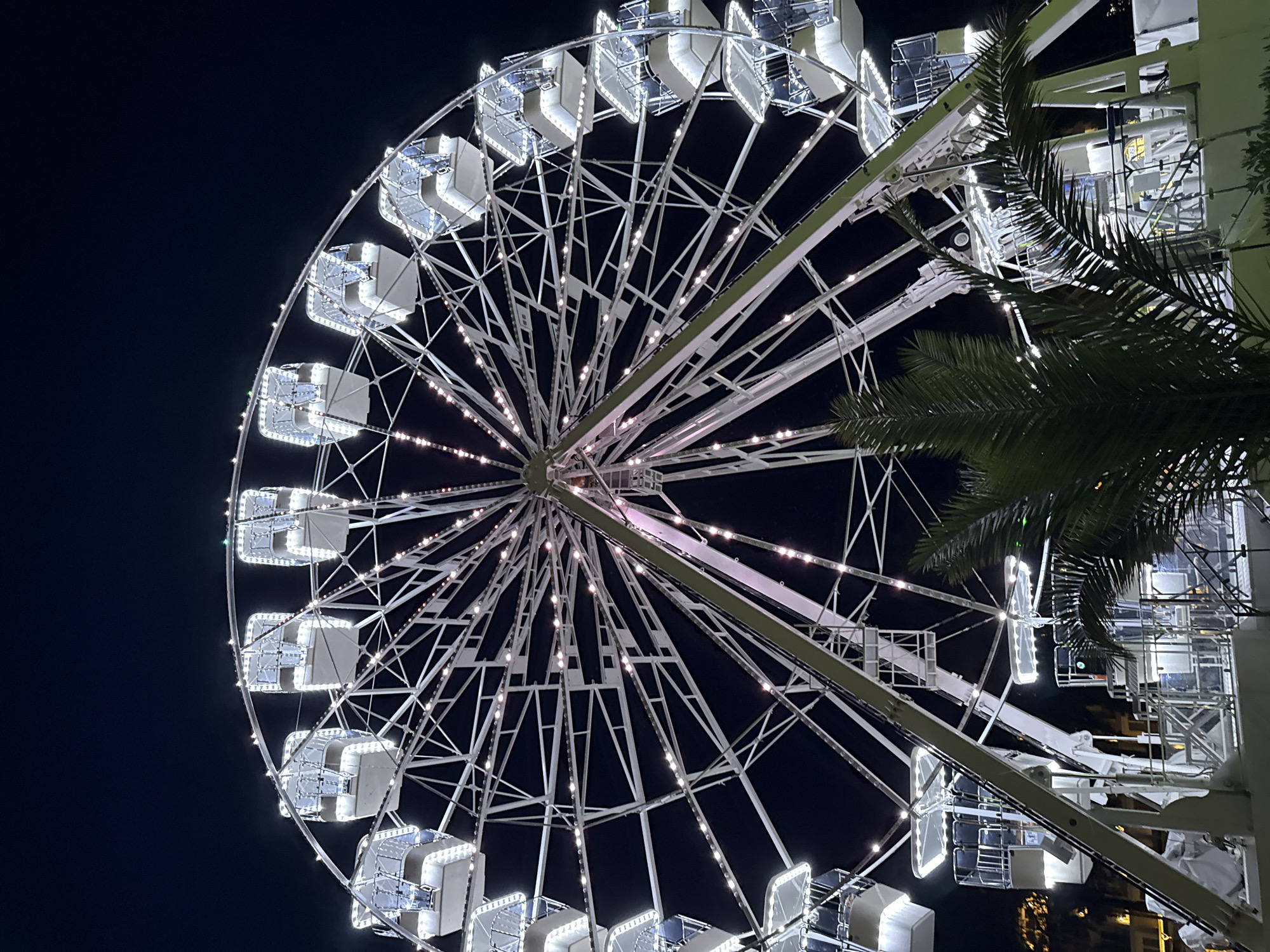 The image shows a large Ferris wheel illuminated at night, located in the city of Budva, Montenegro. The Ferris wheel is predominantly white and is decorated with numerous small lights that create a shimmering effect against the dark sky. Several enclosed cabins, also lit from within, are visible along the rim of the wheel. The structure of the Ferris wheel is intricate, with a complex web of spokes and supporting beams. In the foreground, the fronds of a palm tree partially obscure the lower section of the Ferris wheel and its base, which appears to be a white structure with walkways and railings. The background is dark, suggesting it is nighttime, with some faint lights from buildings visible in the distance. The overall scene depicts a typical amusement park or boardwalk setting at night, enhanced by the glow of the Ferris wheel.