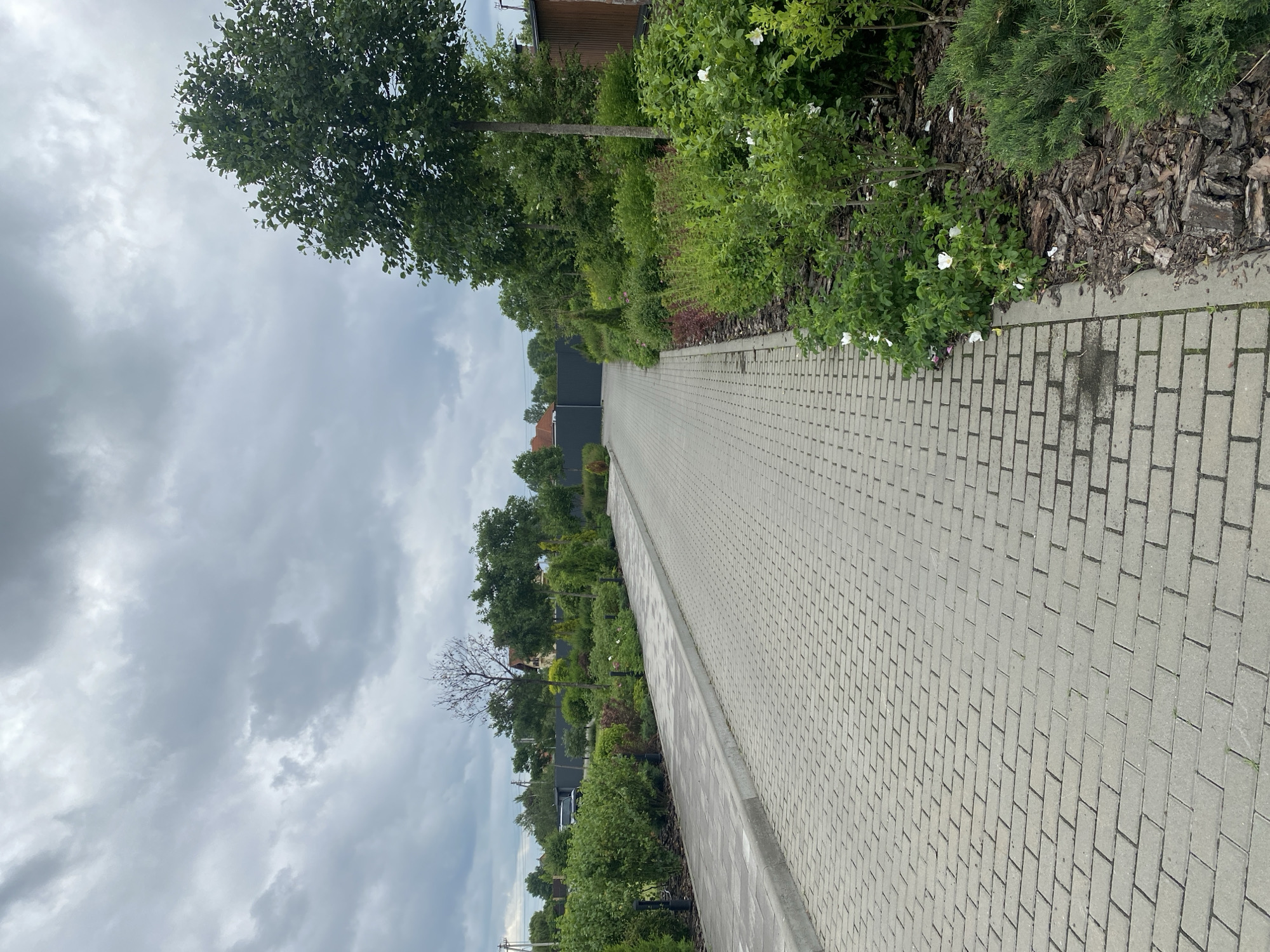 The image depicts a paved walkway leading towards a dark gate at the end of a residential area in Rozhny, Ukraine. The walkway is constructed of light gray rectangular pavers, with a concrete curb bordering the right side. Adjacent to the walkway on the right is a garden bed filled with a variety of green shrubs and some flowering bushes with white blooms, all mulched with dark brown bark. A slender tree with dark green foliage stands behind the garden. On the left side of the walkway, there is another garden bed with dense green bushes, and beyond that, a darker paved area possibly serving as a driveway, with a black vehicle visible in the distance. The background includes more trees and houses, with a cloudy, overcast sky overhead.