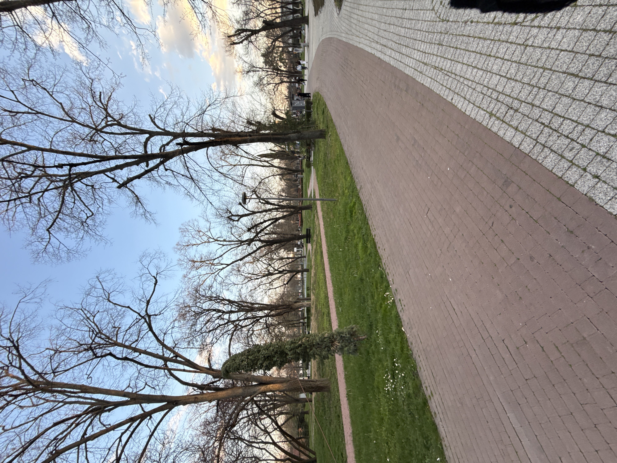The image shows a park pathway in Stara Zagora, Bulgaria. The pathway is constructed of two different types of brick: a reddish-brown rectangular brick and a gray square brick. A strip of green grass separates the pathway from a row of deciduous trees with bare branches. The sky is visible above the trees, with light blue and white clouds. A single, small evergreen tree is situated on the lawn. Several benches and street lamps are visible in the distance.