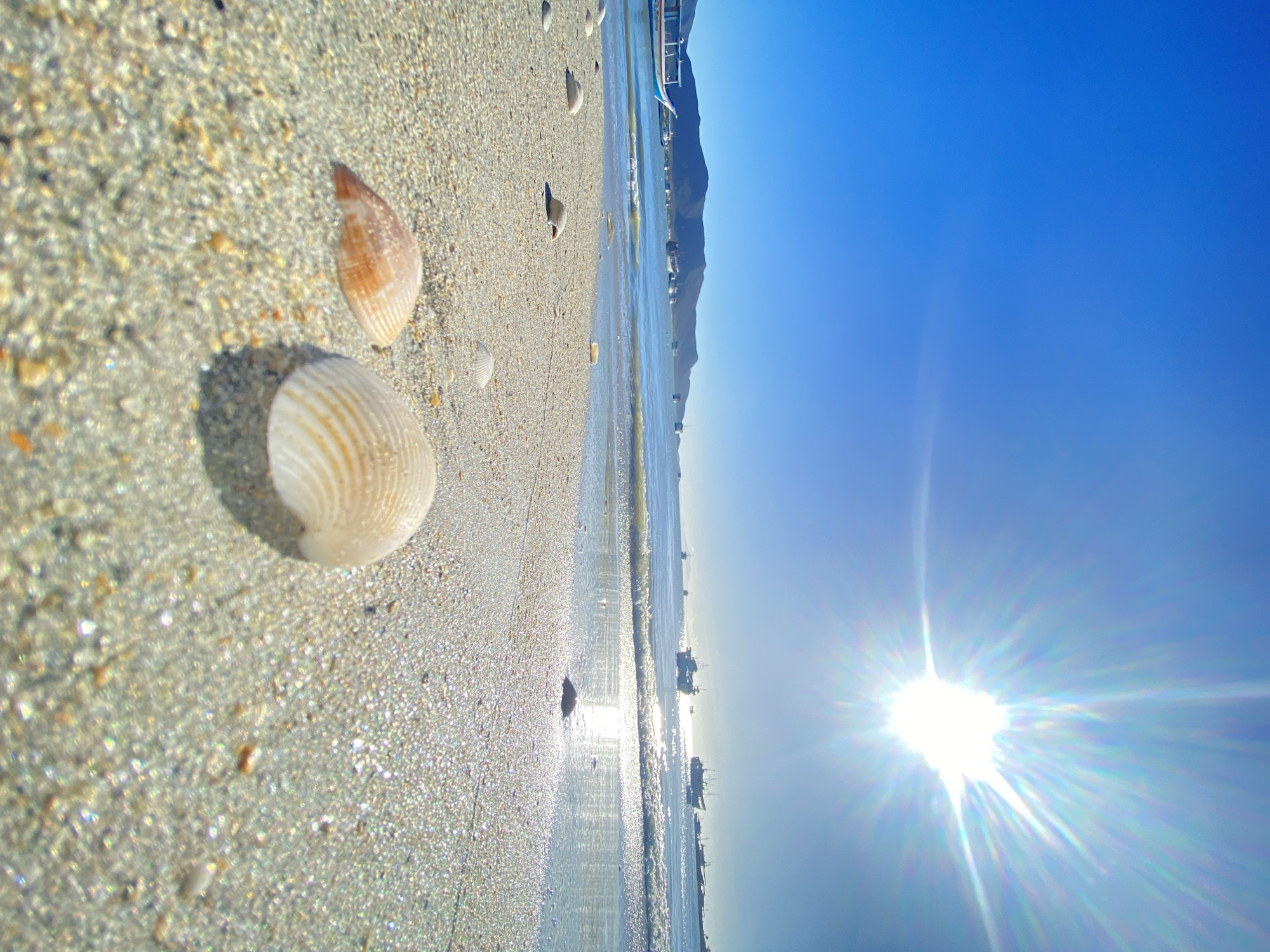 The image shows a beach scene in Juan Griego, Venezuela on a sunny day. Two seashells are prominent in the foreground on the sandy beach. The water is visible as a horizontal strip with small waves and reflections of the bright sun. Several ships are on the water. In the distance, land is visible, likely a mountain or hillside. The sky is clear blue, with the bright sun causing lens flare.