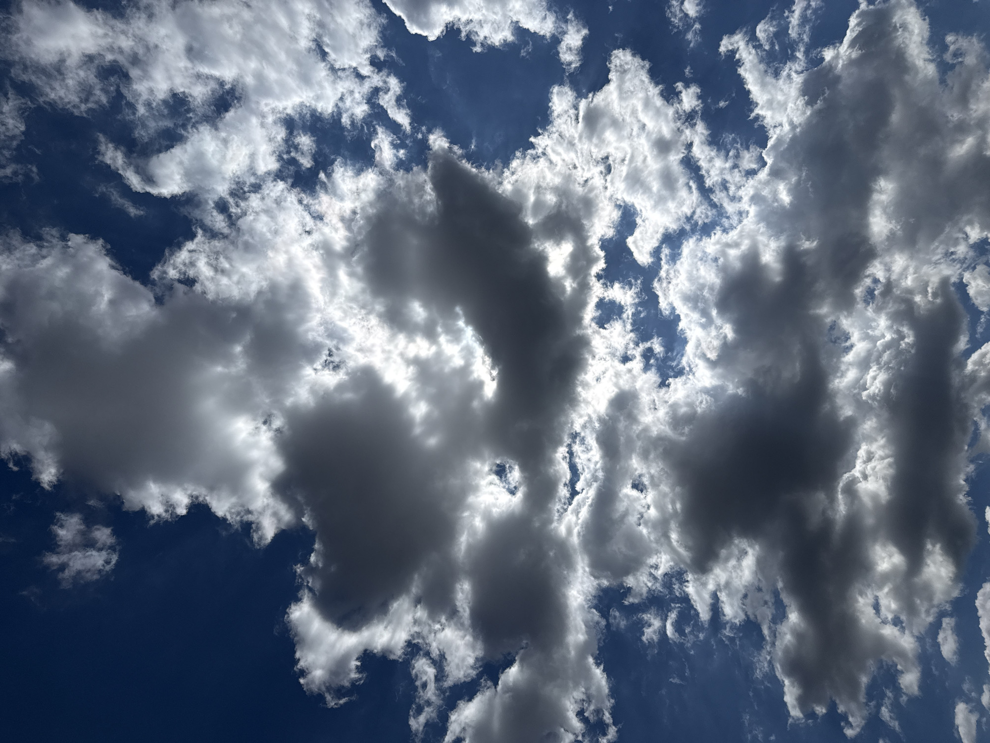 The image depicts a daytime view of the sky, with a mix of white and gray clouds scattered across a blue background. The clouds are dense and appear to be illuminated from behind, creating a contrast between light and shadow. No people, specific objects, or actions are visible. The image does not provide any information that would allow to locate the city of Vozdovac Urban Municipality, Serbia.