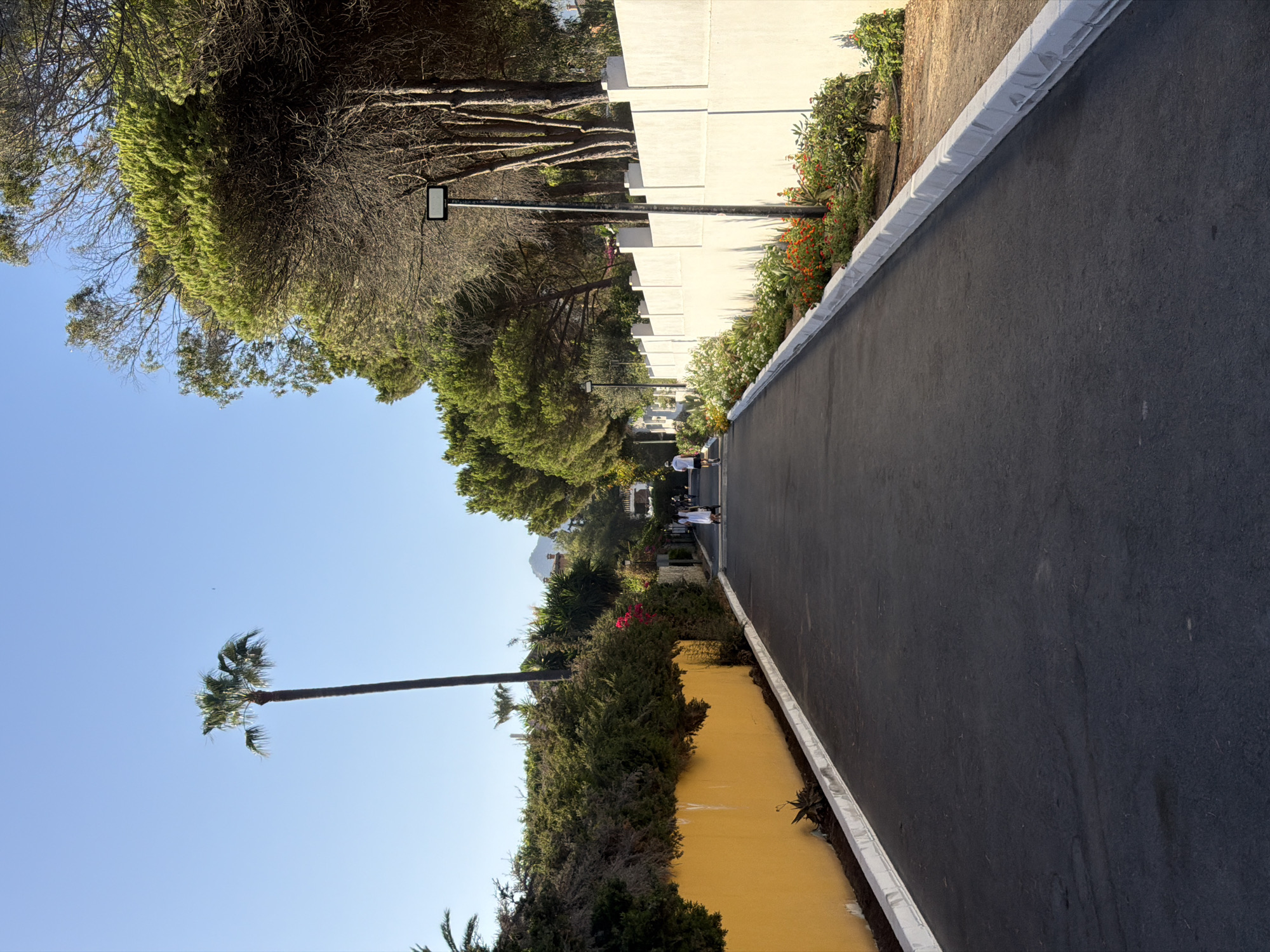 An asphalt road in Saladillo-benamara, Spain, leads into the distance under a clear blue sky. On the left, a vibrant yellow wall topped with dense green bushes and a tall palm tree runs parallel to the road. On the right, a white concrete wall with regularly spaced rectangular blocks encloses a strip of garden with blooming orange and white flowers. Two individuals are walking on the road, one in the distance on the left and another further down on the right, seemingly jogging or walking briskly. The scene is bathed in sunlight, suggesting it is daytime.