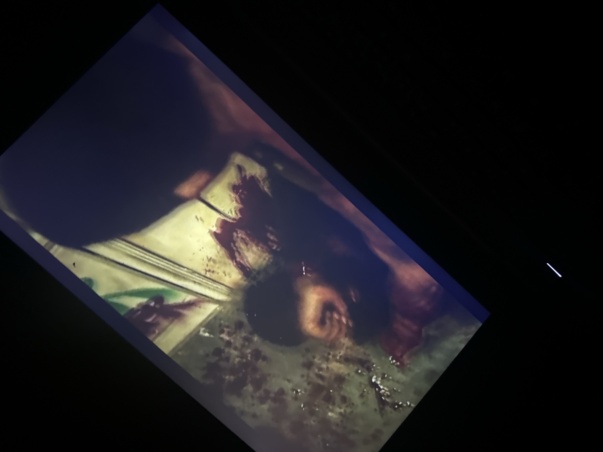The image depicts a scene with a person lying on what appears to be a floor covered in blood. The person's head is visible, surrounded by a pool of blood. The floor is tiled and blood spatter is apparent. The setting is unclear, but the image is a photograph of a screen, and no contextual details provide a location in Saint-Leu-d'Esserent, France.