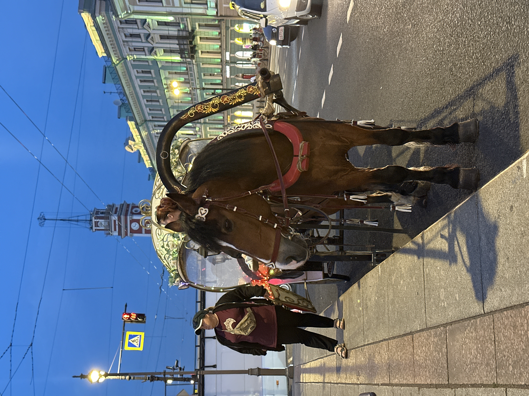 A brown horse is harnessed to a decorative carriage on a city street in Saint Petersburg, Russia, at dusk. The horse is facing the viewer and is adorned with a red harness and white tassels. Behind the horse, the carriage features ornate gold and floral designs on its frame and a transparent canopy. A woman wearing a burgundy t-shirt, black pants, and sandals stands on the sidewalk to the left of the carriage, facing away from the viewer. A crosswalk sign and traffic lights are visible in the background, as are several buildings with lit windows and decorative facades, indicative of a European cityscape. The street is paved, and a car is driving by in the background. The sky is a deep blue, suggesting it is either early morning or evening.