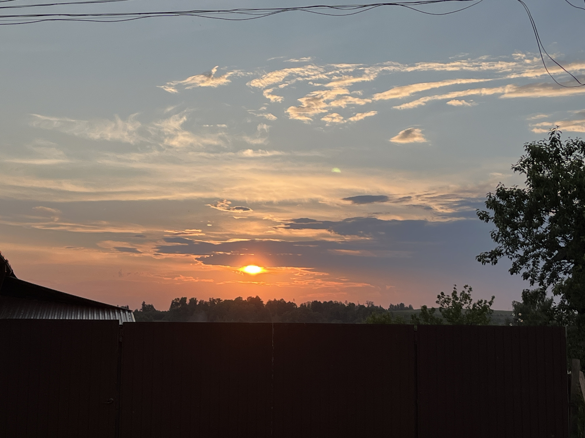 A horizontal, eye-level, full shot captures a sunset in the city of Foky, Russia. The sun is a bright orange orb in the center of the frame, partially obscured by wispy, horizontal clouds that streak across the sky in hues of orange and yellow. Below the sun, a line of dark green trees forms the horizon. In the foreground, a dark brown fence runs horizontally across the bottom of the image, with a corrugated metal roof of a building visible on the left. Power lines are strung across the top of the frame. To the right, the dark green foliage of a tree is visible.
