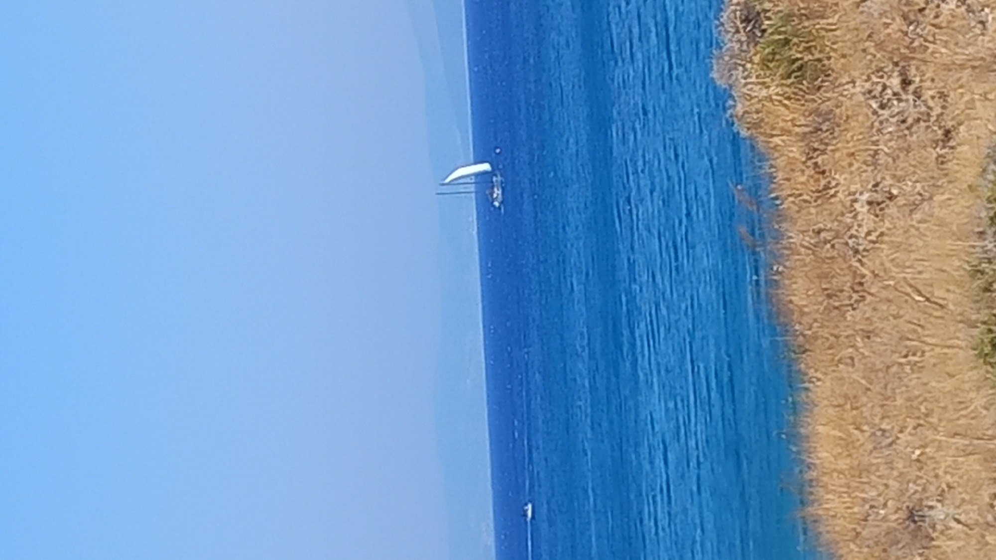 A scenic view of the Aegean Sea under a clear blue sky. In the mid-ground, a white sailboat with a single sail is visible, its hull dark. To the left of the sailboat, a small white boat speeds across the water, leaving a wake. The sea is a deep blue, with a lighter turquoise band closer to the shore. In the foreground, dry, golden-brown vegetation covers a gentle slope leading down to the water's edge. In the far distance, a hazy, low-lying landmass or island is visible on the horizon. The overall scene suggests a warm, sunny day, likely in the summer. The location is the city of Kos, Greece, known for its coastal beauty and clear waters.