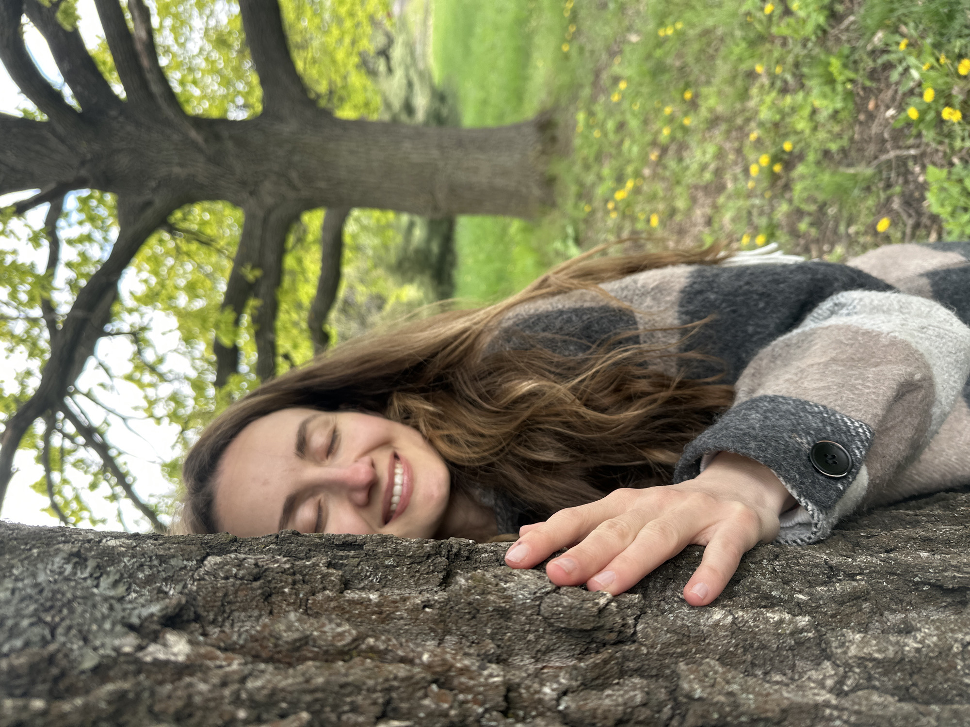 The image displays a young woman resting outdoors on a large tree trunk, captured from a low, upward angle. The entire photograph is rotated 90 degrees clockwise.
The main subject is a young woman, positioned with her head on the left side of the rotated frame. She has long, wavy brown hair, fair skin, and her eyes are closed, conveying a sense of peace or contentment. A gentle, wide smile is visible on her face. She is wearing a plaid jacket or coat in shades of gray, black, and beige, with a prominent black button on the cuff of her right arm, which rests on the tree trunk.
The immediate foreground is dominated by the dark, rugged texture of the tree bark, forming a horizontal base across the bottom of the rotated image. Behind the woman, the background transitions into a vibrant natural environment. To the left (representing upwards in the original orientation), a dense canopy of green leaves and tree branches is visible against a bright sky. To the right (representing downwards), a grassy field dotted with numerous small yellow flowers, likely dandelions, is spread out.
The scene captures a calm moment during daylight hours, suggesting a pleasant weather day in a natural setting like a park or forest. The overall mood is one of tranquility and happiness. There is no visible text in the media file. The location context indicates this serene scene is in Kryvyi Rih, Ukraine.