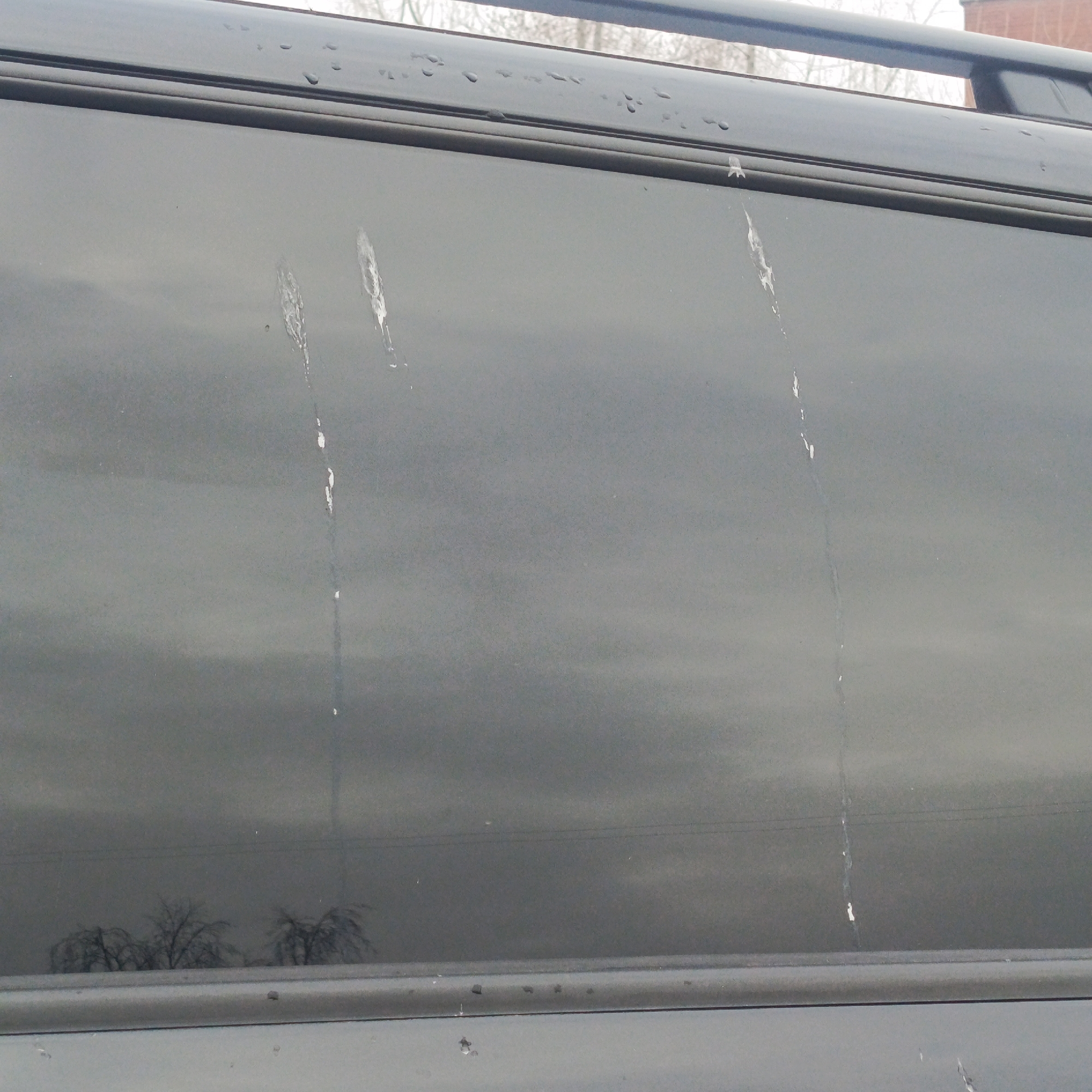 The image shows a close-up view of a vehicle's tinted window, likely in Chaikovsky, Russia, although this is not explicitly confirmed by the image. There are two prominent streaks of what appears to be bird droppings running vertically down the window's surface. The window is framed by black trim at the top and bottom. The reflection on the window's surface reveals a cloudy sky and bare trees. There are water droplets present on the upper trim. The overall lighting suggests a dull or overcast day.