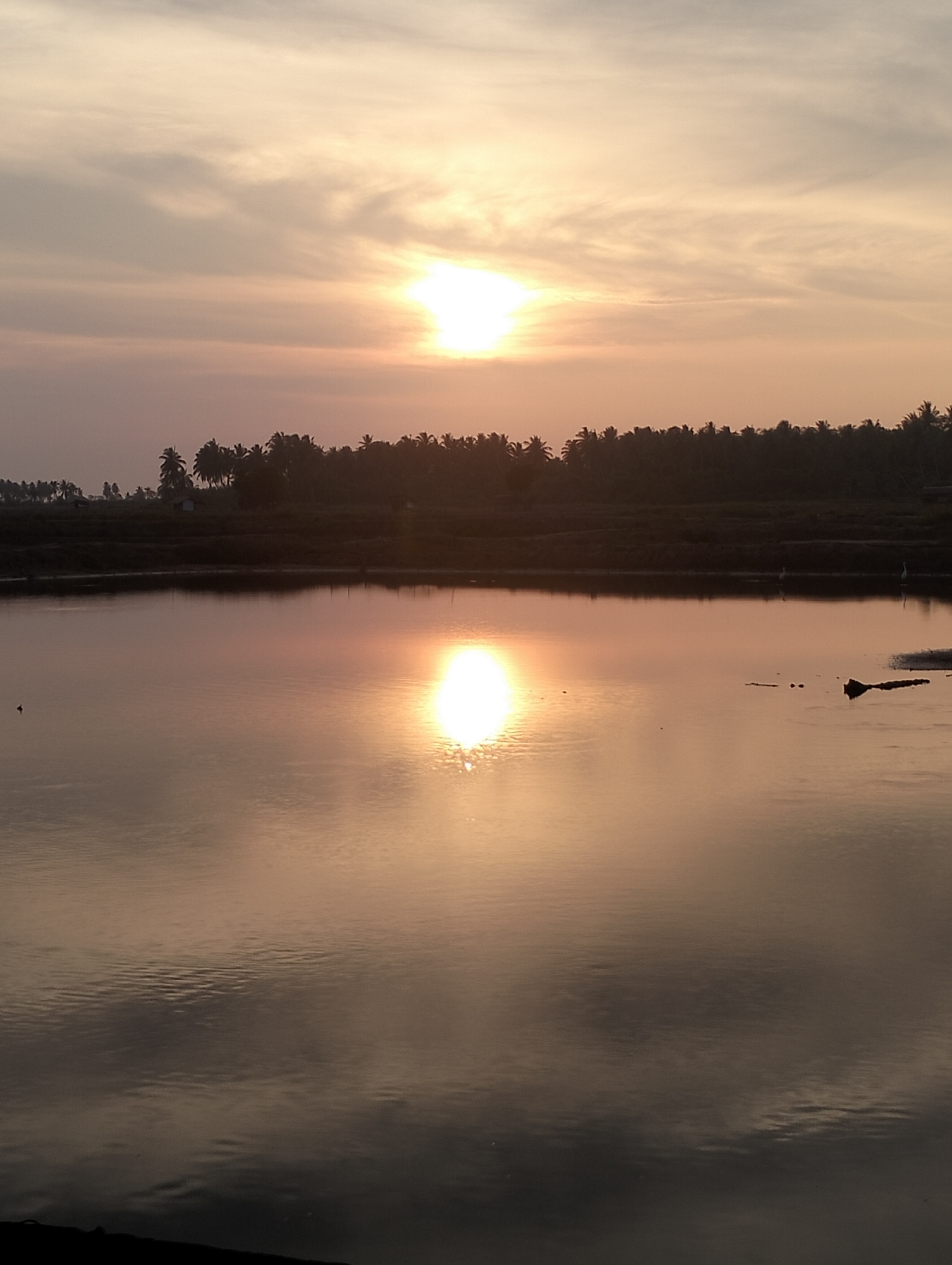 The image depicts a landscape at dusk, likely near or in Nasebarat, Indonesia. The sun is setting, casting a warm orange and yellow glow across the sky. This light is reflected in the still water surface, where the sun's reflection is mirrored. A line of trees, possibly palm trees due to the location, stands silhouetted against the sky. There is a small structure visible amongst the trees. In the water, some debris can be seen floating near the edge. The foreground is dark, suggesting the edge of the body of water.