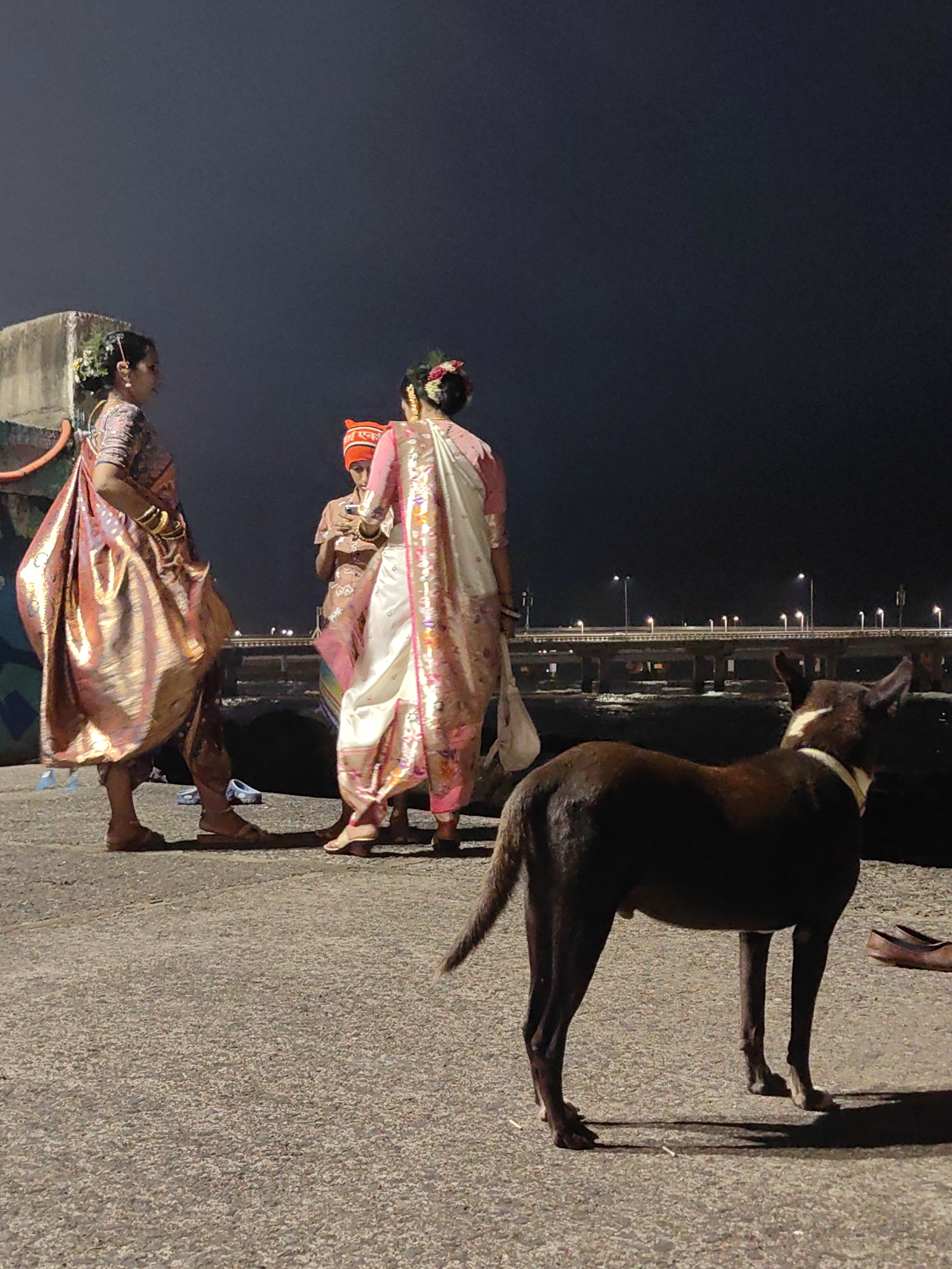 The image captures a nighttime scene on a paved walkway, likely near a body of water, given the faint reflections and the presence of a bridge with lights in the background. The location is identified as Mumbai, India.
In the foreground, a dark-colored dog stands facing away from the camera, looking towards the water. It has a light-colored collar.
In the mid-ground, three individuals are visible. On the left, a person wearing a traditional Indian outfit, possibly a saree or lehenga, with ornate bangles on their wrist, is seen from the waist down. The fabric of their attire is richly textured and has a metallic sheen. To their right, another person, also in traditional Indian attire, is facing the other individuals. This person is wearing a pink and white garment with intricate floral patterns. They are holding a mobile phone. Between these two individuals, a third person is partially visible, wearing a bright orange turban and a light-colored shirt.
The background features a bridge illuminated with rows of streetlights, suggesting an urban setting. The sky is dark, indicating it is nighttime. The ground is a coarse, textured concrete surface. A concrete wall or structure is visible on the far left of the image. Scattered on the ground are a few pairs of sandals and a white plastic bag.