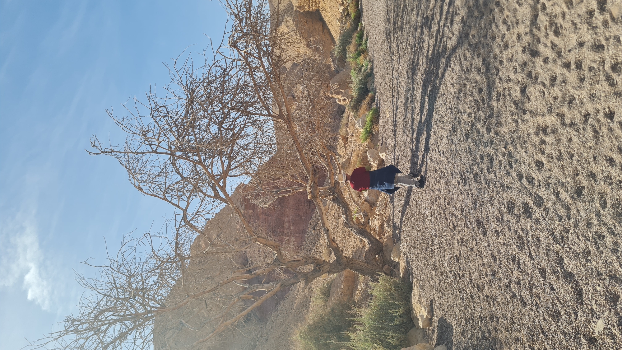 The image shows a person standing on a path in the city of Hevel Eilot Regional Council, Israel. The person is wearing a red shirt, blue skirt, and light-colored pants, and a hat. They are standing near a bare tree. The path is sandy and rocky. In the background, there are rock formations and sparse vegetation. The sky is blue with light clouds. The image is rotated counterclockwise.