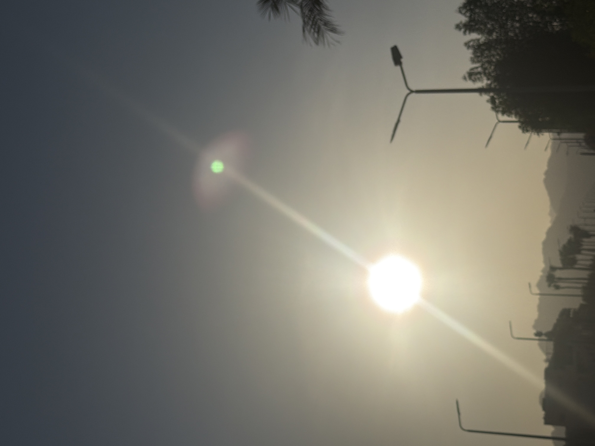 The image depicts a hazy, sun-drenched scene with a bright, diffused sun at the center-left. A green lens flare is visible in the upper right quadrant of the sky. In the foreground, silhouetted streetlights line a road. To the left, a low-rise building is visible, and in the background, hills are discernible through the atmospheric haze. Palm trees are also present, some silhouetted and some showing darker foliage. This scene is characteristic of a street or roadside in Sharm El Sheikh, Egypt, during a bright, possibly early morning or late afternoon, with the sun's intensity causing a noticeable haze and lens flares. No people or specific actions are identifiable.