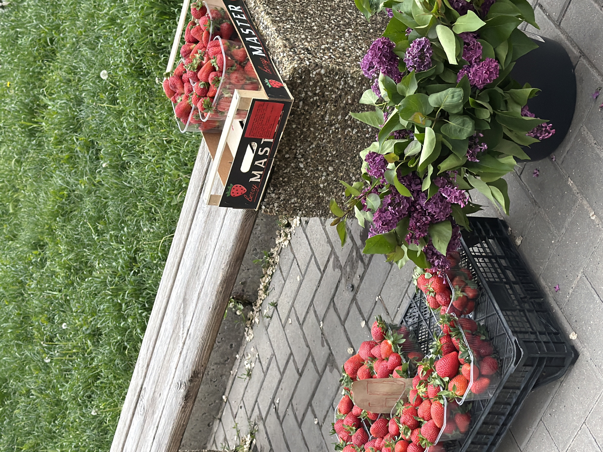 Here's a detailed description of the image:
**Location:** Undetermined urban environment. The specific city and country are unknown.
**Scene Description:** The image shows a roadside or pedestrian area with a combination of natural and man-made elements.
**Objects:**
* Two crates filled with strawberries are prominently displayed. One crate is wooden with the word "MASTER" visible. Both contain clear plastic containers of strawberries.
* A black pot filled with flowering purple plants (likely lilacs or a similar type of flower) is present.
* A grey wooden bench runs along the side of the image.
* The ground is made of grey paving stones in a repeating pattern.
* A patch of green grass is visible on the left side of the frame.
**Environment:**
* The lighting appears to be natural daylight.
* The scene suggests an outdoor market or a temporary fruit/flower stand.