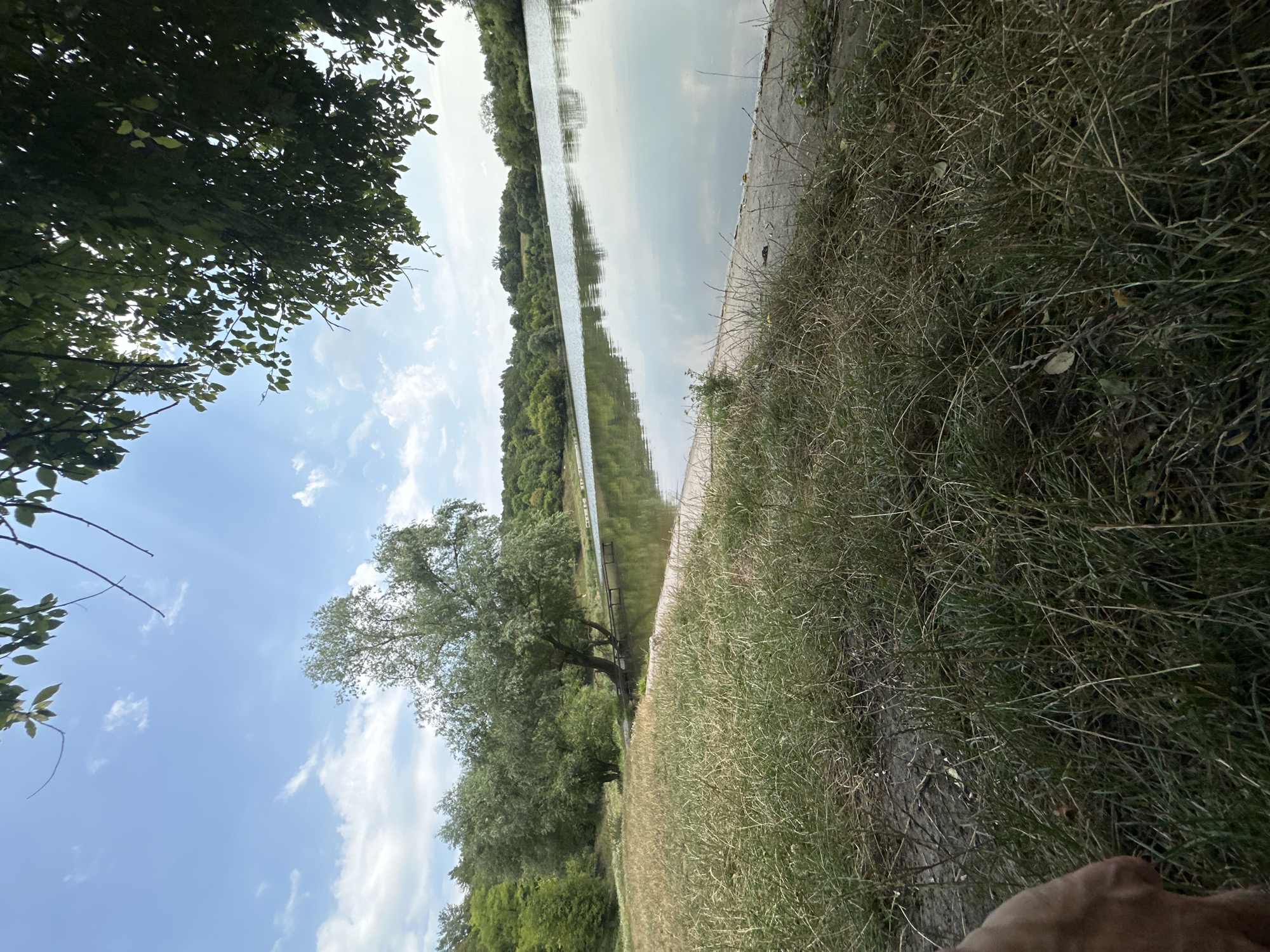 An outdoor, eye-level, vertical, full shot captures a serene natural landscape of a body of water bordered by lush greenery under a bright, partly cloudy sky. In the foreground, tall, dry grass and a partial view of a human hand and arm on the left side dominate the lower portion of the image. A concrete pathway runs along the edge of the grass, leading to the calm surface of a lake. The lake reflects the sky and the trees lining its distant bank. Several mature trees, their leaves a vibrant green, are situated on the far bank of the lake, creating a dense treeline that stretches into the distance. A small wooden pier extends from the bank into the water. The sky is a brilliant blue, punctuated by scattered white clouds, with sunlight filtering through some leafy branches in the upper right corner. The scene appears to be a tranquil park or natural area, possibly located near Makiv, Ukraine, given the context.