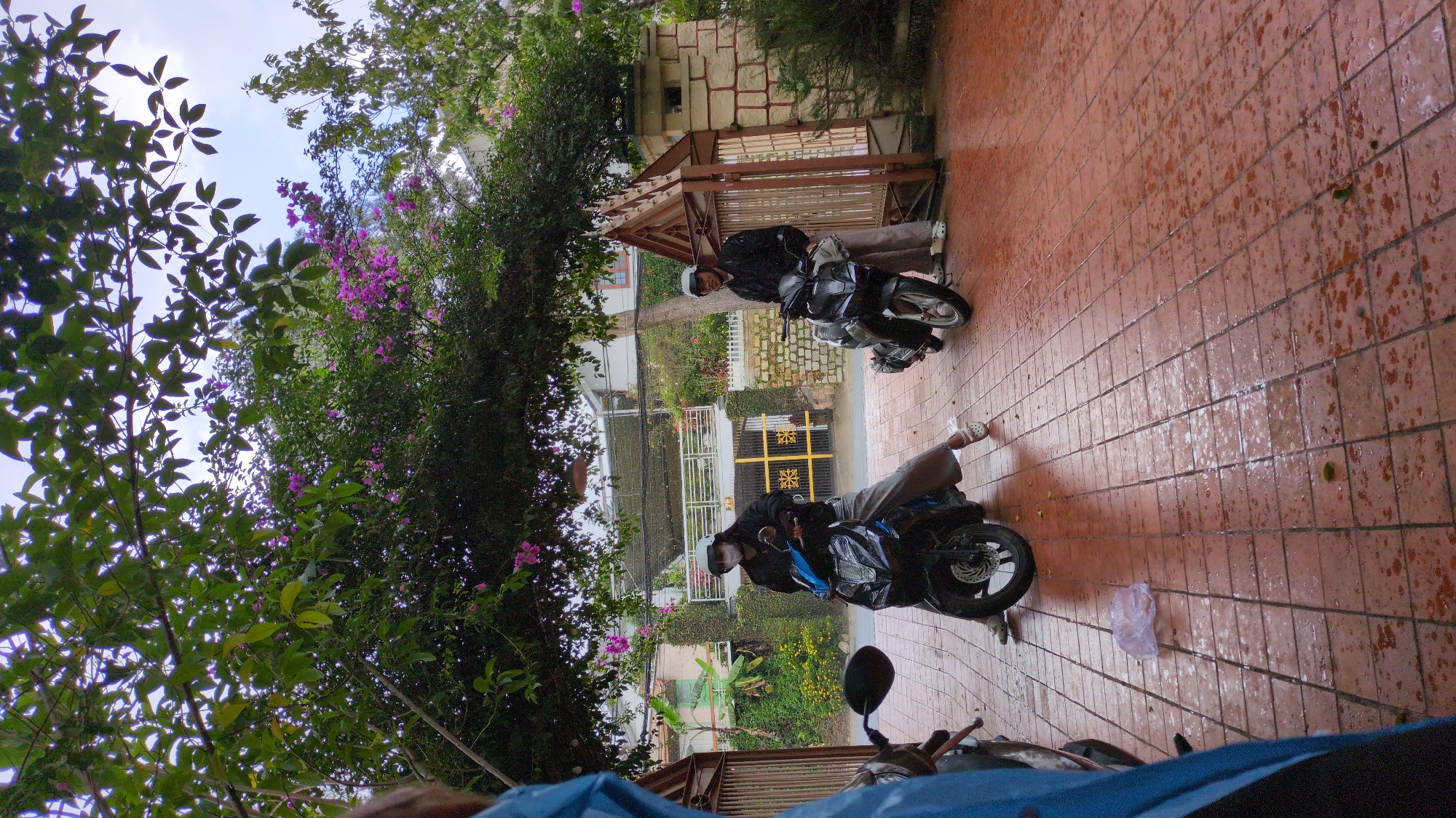 In Da Lat, Vietnam, on a tiled driveway shaded by lush green trees with purple flowers, two individuals on motorcycles are captured in a moment of pause. The person on the left, wearing a white helmet, mask, and grey pants, sits on a black motorcycle. To the right, a person in a white helmet and dark jacket stands beside a black motorcycle. The driveway is wet, indicating recent rain, with scattered leaves and a plastic bag on the ground. In the background, a gate with ornate yellow embellishments and a white fence suggest a residential area. Houses with balconies and greenery are visible beyond the fence, under a cloudy sky.