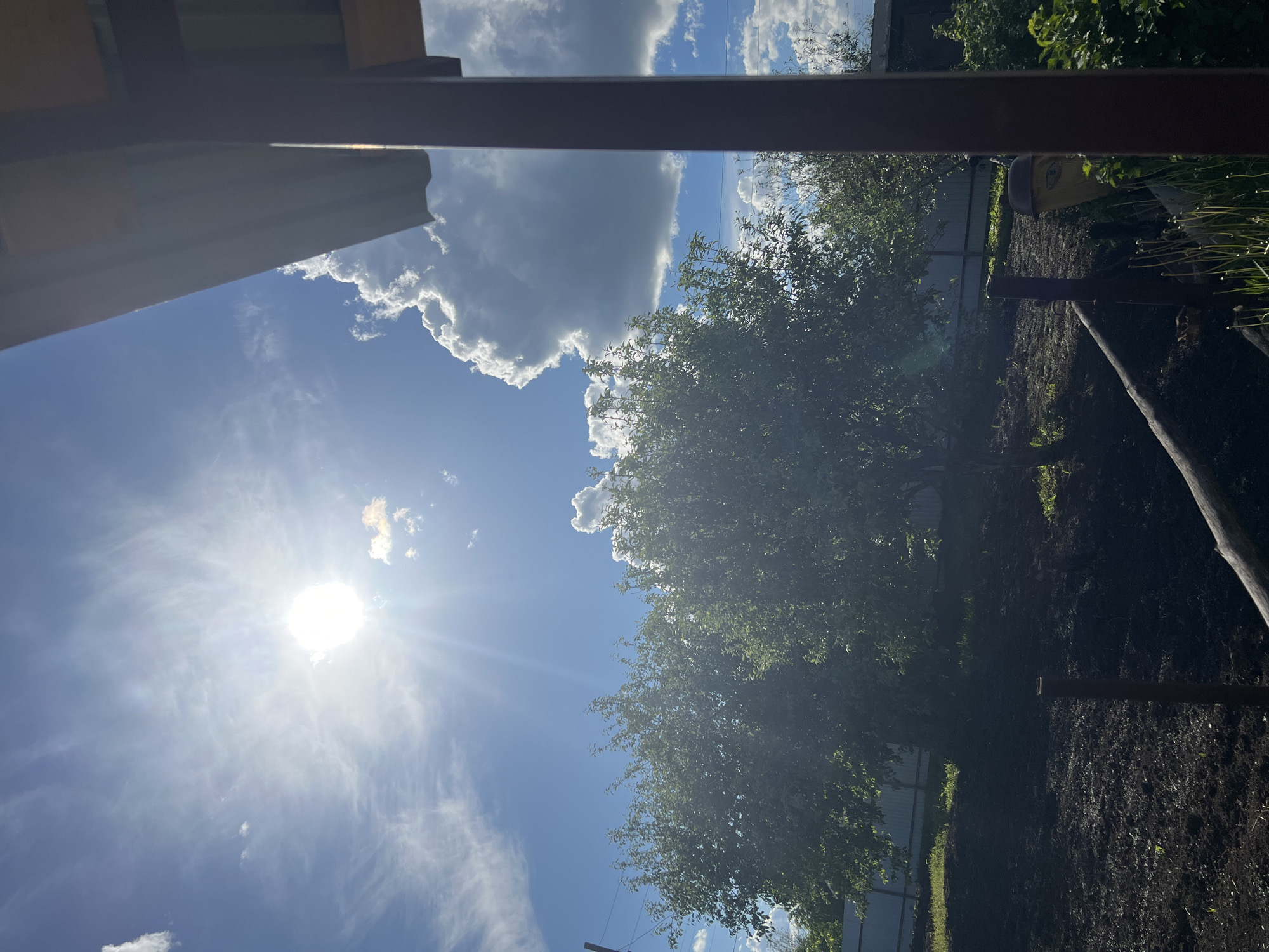 The image shows an outdoor scene on a sunny day, possibly in Noviy, Russia. The sky is blue with scattered white clouds, and the sun is shining brightly. The foreground is partially obscured by the edge of a structure, possibly a building or a roof. To the right, there's a dense tree with green leaves. Below the tree, there is dark soil or tilled ground, with some wooden posts and what appears to be a wooden beam laying on the ground. Some vegetation can be seen alongside the edge of the soil. Further in the background, a fence is visible amidst the greenery. There are no people visible in the image.